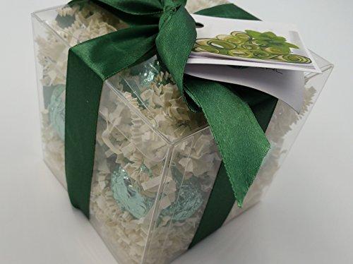 Spa Pure Spa Pure Coconut Bath Bombs: CREAMY COCONUT GIFT SET with 6 Bath Bomb Fizzies with Shea, Mango & Cocoa Butter, Ultra Moisturizing (14 Oz) Great for Dry Skin, All Skin Types (Creamy Coconut)