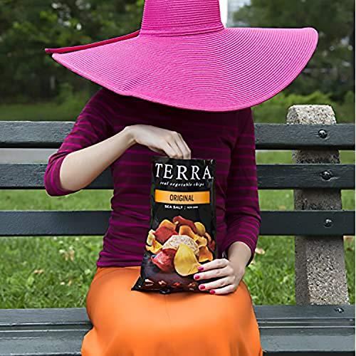 Terra Terra Vegetable Chips, Original with Sea Salt Vegetable Chips, 6.8 Oz (Pack of 12)