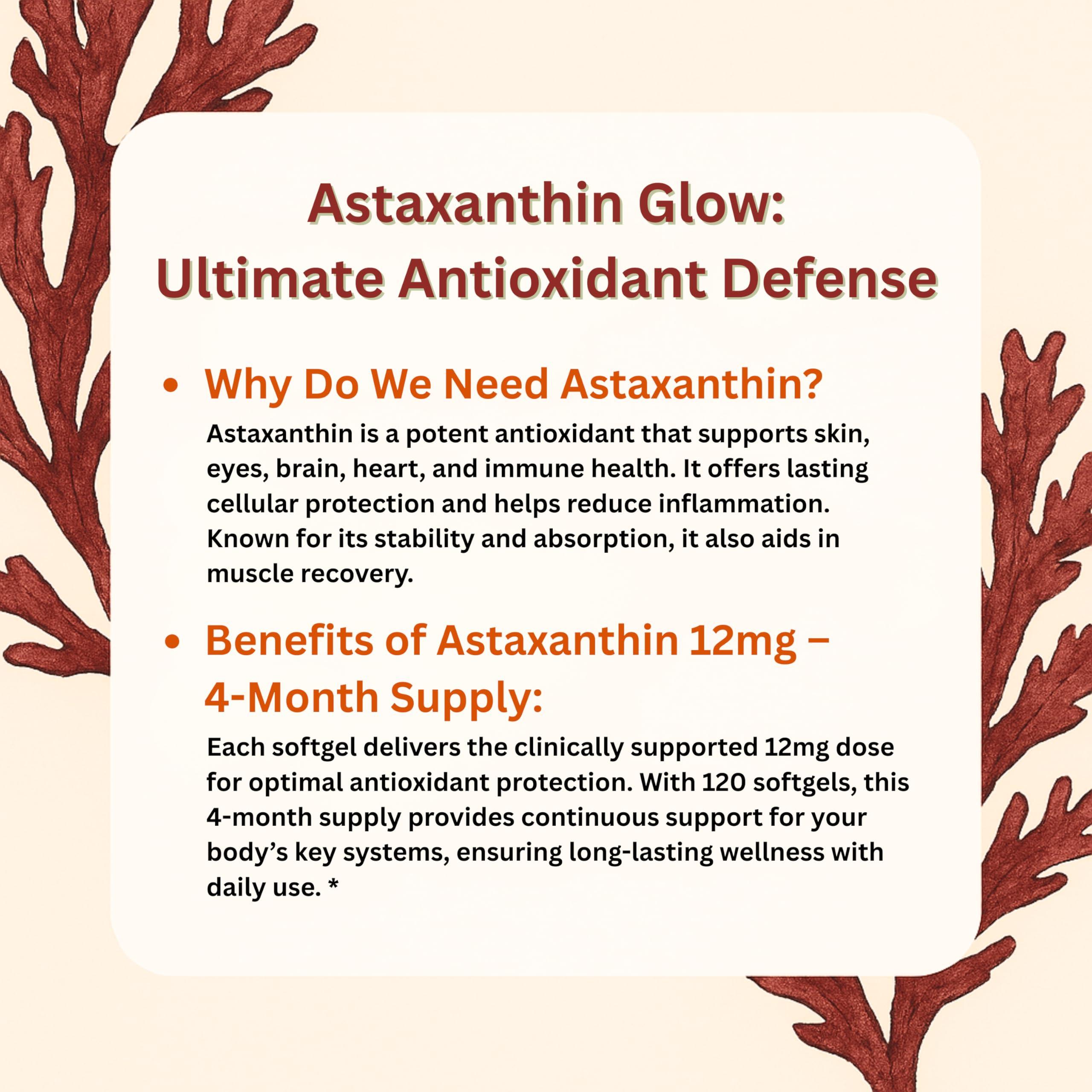 Micro Ingredients Micro Ingredients Astaxanthin 12mg, 120 Softgels, 4 Month Supply | Premium Astaxanthin Antioxidant Supplements | Fresh Microalgae Source | Supports Eye, Joint, & Internal Circulation Health
