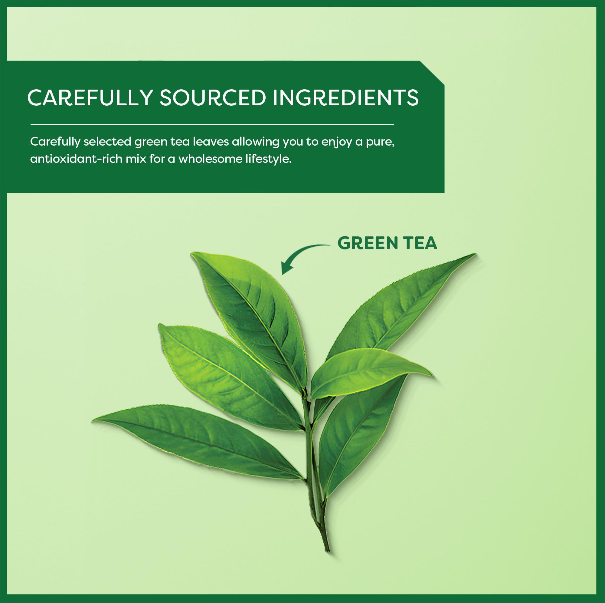 Wissotzky Wissotzky Pure Green Tea (6 Pack - 120 Tea Bags) | Antioxidant Rich | Real Green Tea