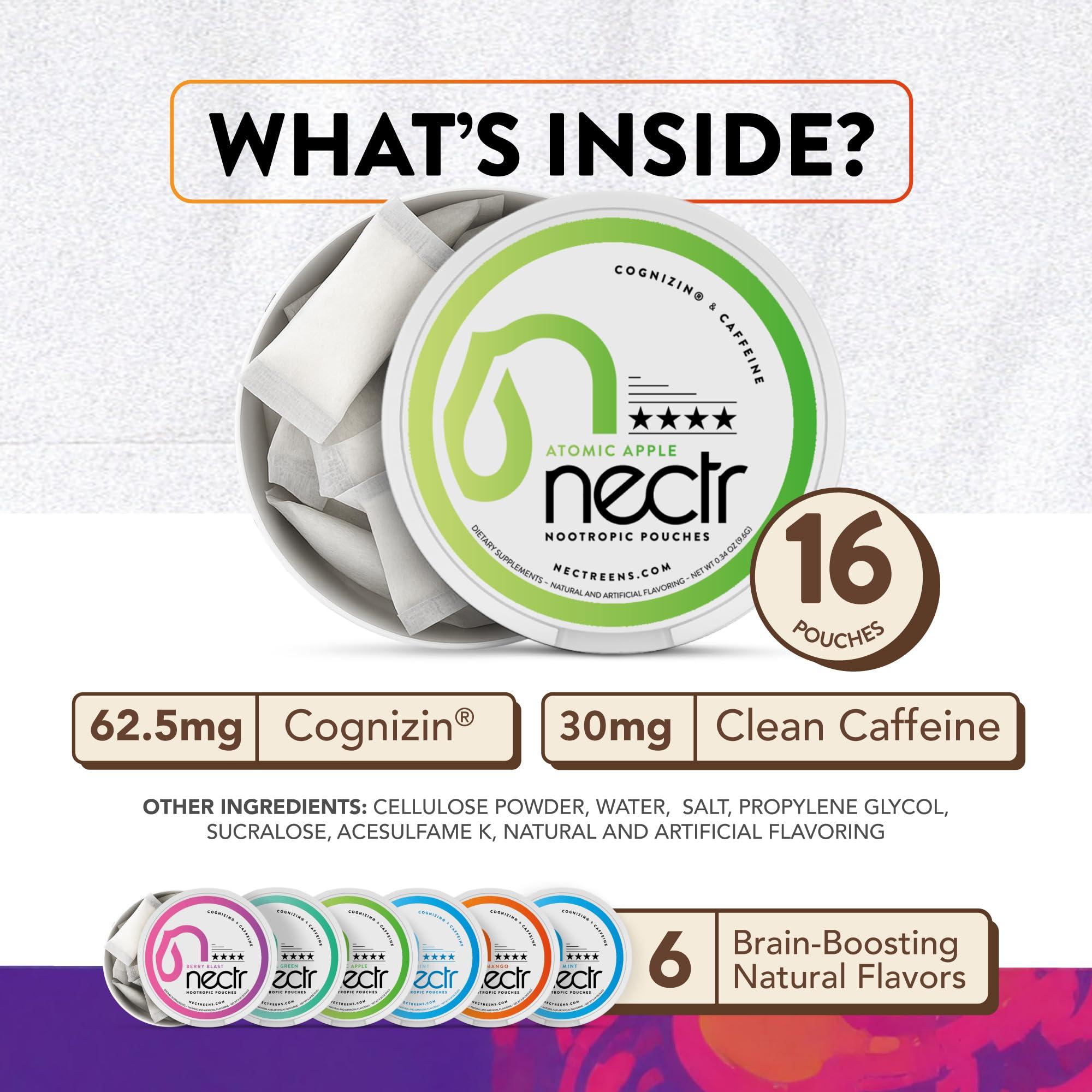 Nectr Nectr Nootropic Energy Pouches, Focus & Energy, Iced Mango, Cognizin 62.5 mg, Caffeine 30 mg, 16 Pouches, Neuro Support, Sugar Free, 5 Pack of Cans