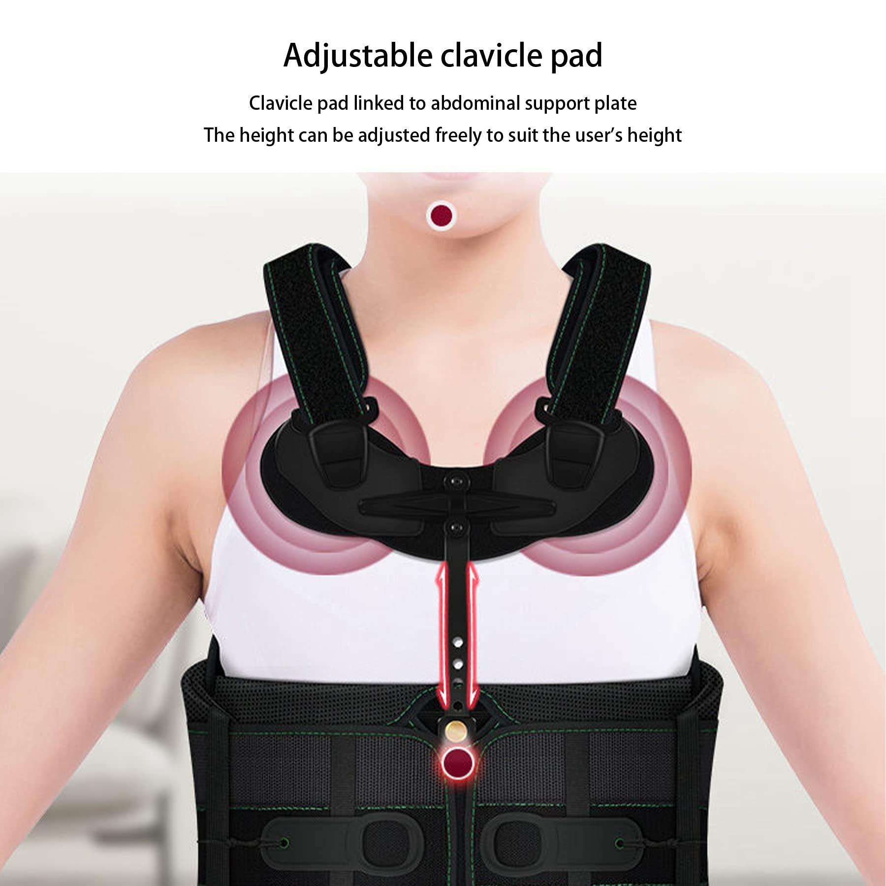 WILLQ Thoracolumbar Fixed Brace Cervical Thoracic Orthosis Chest Lumbar Brace for Back Pain Relief Injury Recovery Adjustable Thoracolumbar Fixed Orthosis Men Women Lumbar Spine Orthosis,S