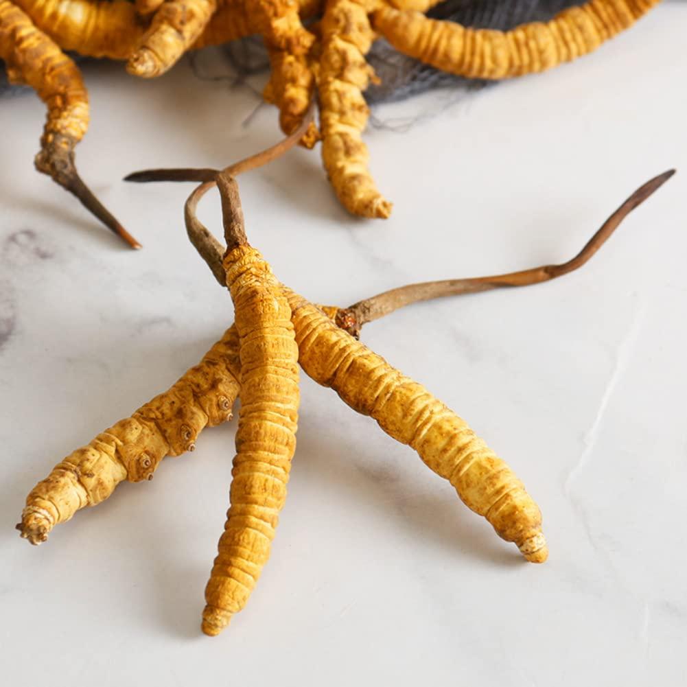 Generic 10 Grams Cordyceps Sinensis Chinese Caterpillar Fungus(Dong Chong Xia Cao),Wild Cordyceps,100% Wild Himalayan Cordyceps Sinensis.
