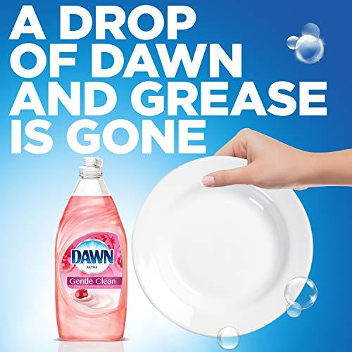 Dawn Dawn Gentle Clean Dishwashing Liquid Dish Soap Pomegranate Splash 24 oz (Pack of 2)