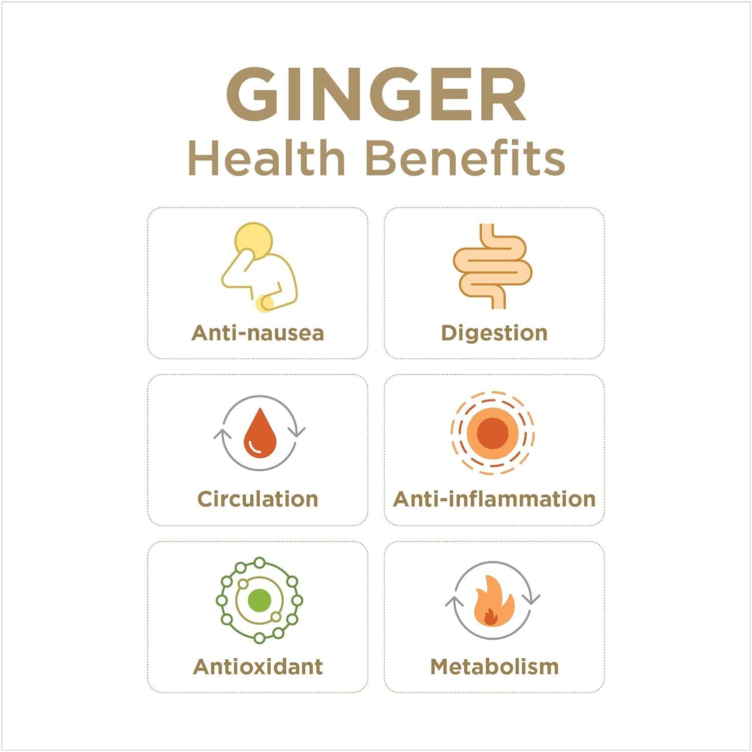The Ginger People The Ginger People Ginger Rescue Chewable Tablets Drug Free Digestive Health, Chewable Tablets, Strong Ginger Flavor, 0.55 Oz, 240 Tablets, (Pack of 10)