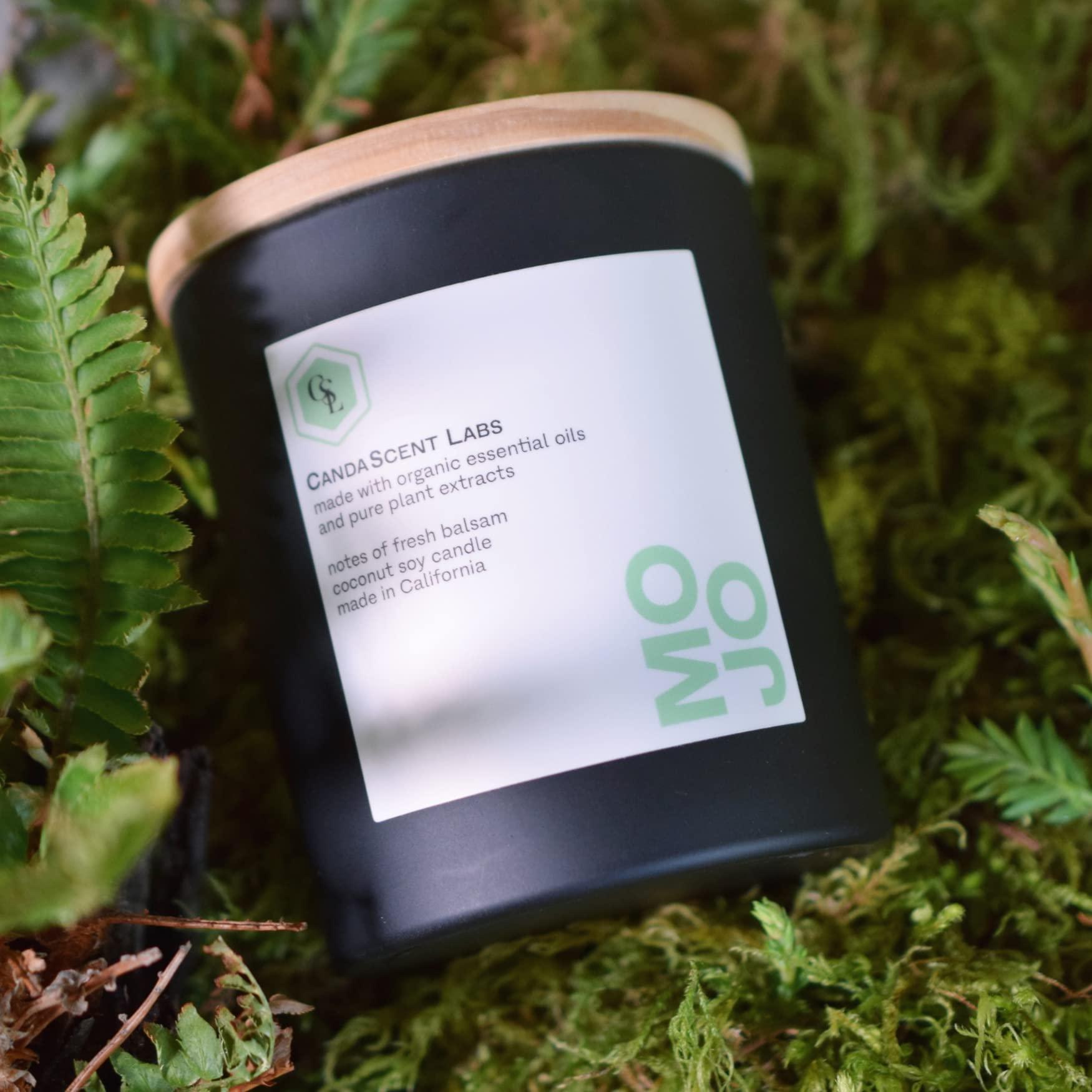 Rice-A-Roni Rice-A-Roni CREAMY FOUR CHEESE Flavor 6.4oz (8 pack)