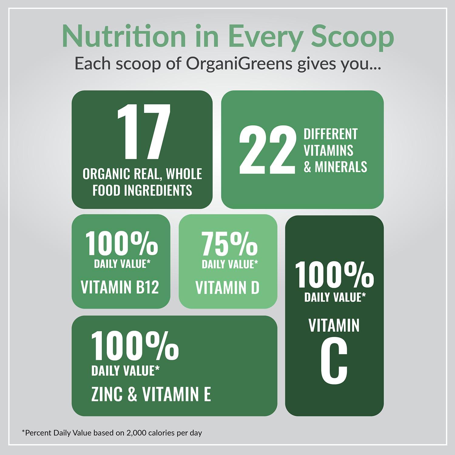 Organixx Organixx Greens Superfood Powder with Probiotic Digestive Enzymes, Gluten Free, Vegan, Daily Super Greens Powder Supplement Drink Mix for Gut Health, Immune Support & Energy, Organic, Non GMO, 10 oz