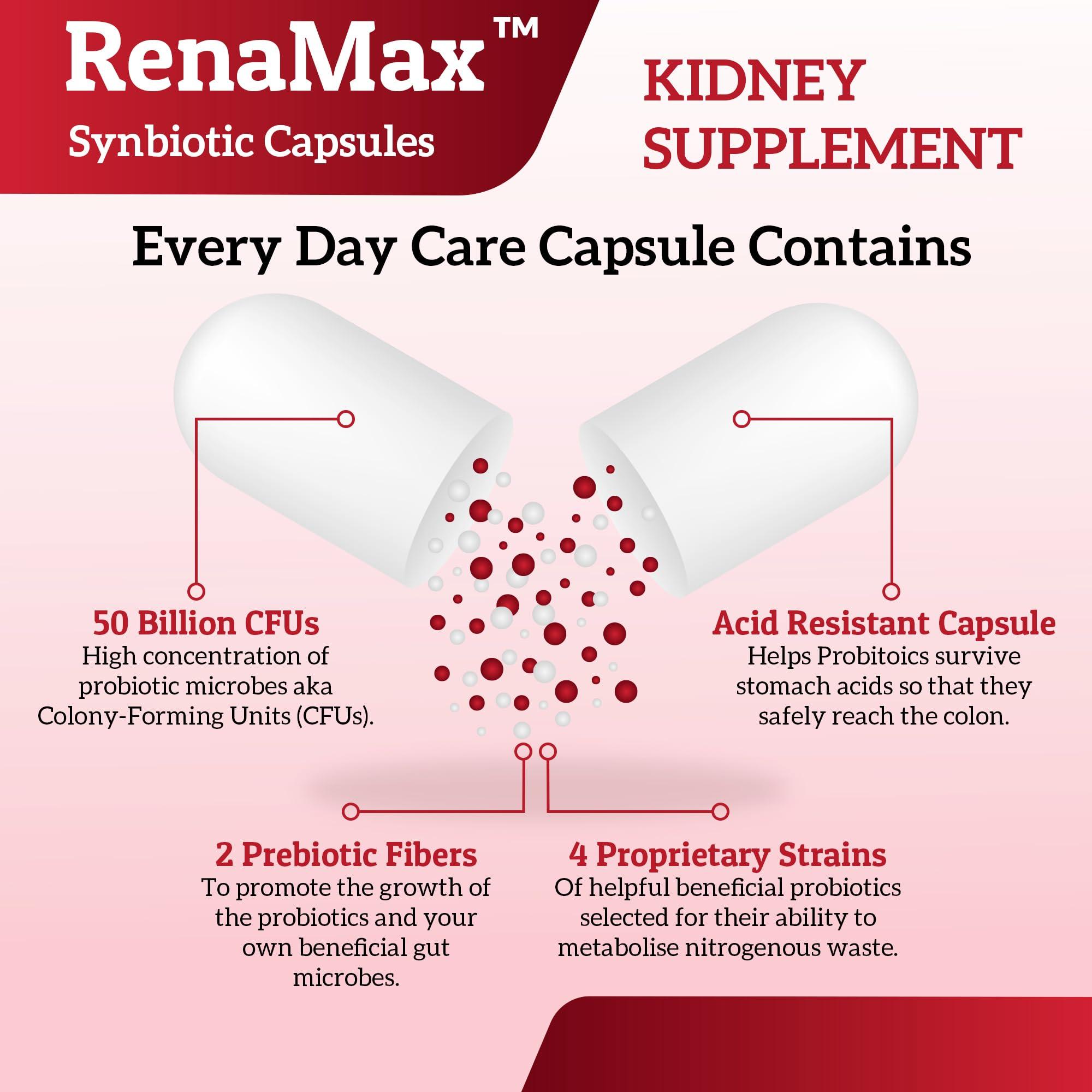 RENAMAX RENAMAX Capsule Kidney Restores & Kidney Care Supplement - Probiotic & Prebiotic Supplement to Support Normal Kidney Function - 50 Billion CFU per Capsule - Made in U.S.A (90 Caps (Pack of 1))