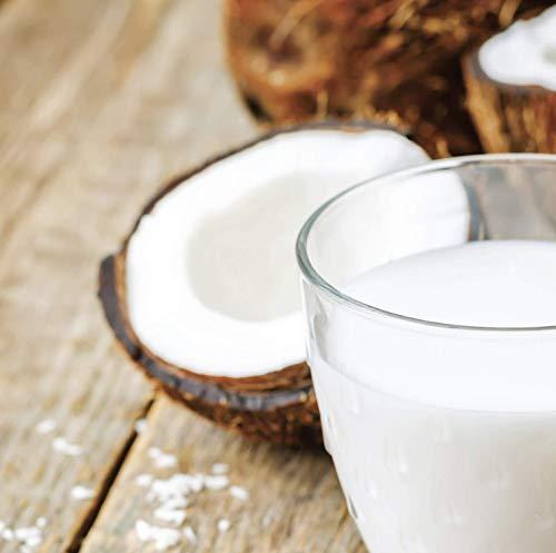 HVA Ceylon Organic Coconut Milk Bulk - 5.28 Gallon (44lb) No Guar Gum, No Preservatives, Gluten Free, Vegan and Kosher 18% Coconut Milk Fat, Unsweetened Bag in Box Shelf Stable