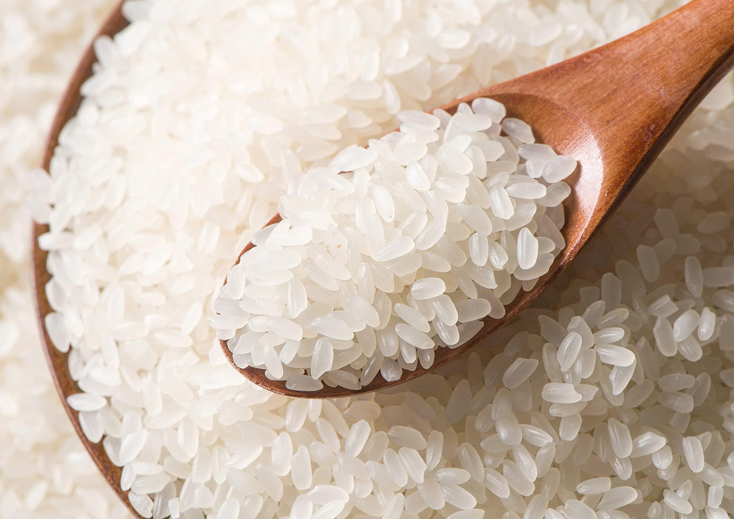 Food to Live Food to Live Short-Grain White Rice, 1 Pound Premium Japanese Style Short-Grain, Perfectly Sticky, Vegan, Kosher Rice. Easy to Cook. Great as a Side Dish. Great for Sushi, Rice Salads, and Desserts
