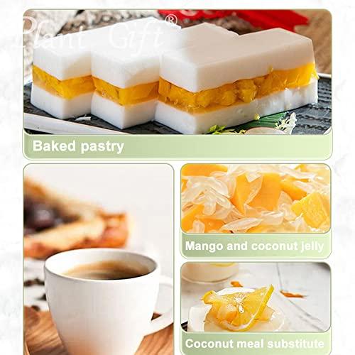 Plant Gift Plant Gift 100% Pure Coconut Powder Natural Powder, Great Flavor for Drinks, Smoothie, Yogurt, Baking, cookies, cakes and Beverages, Non-GMO Powder, No Filler, No additives 100G/3.25oz