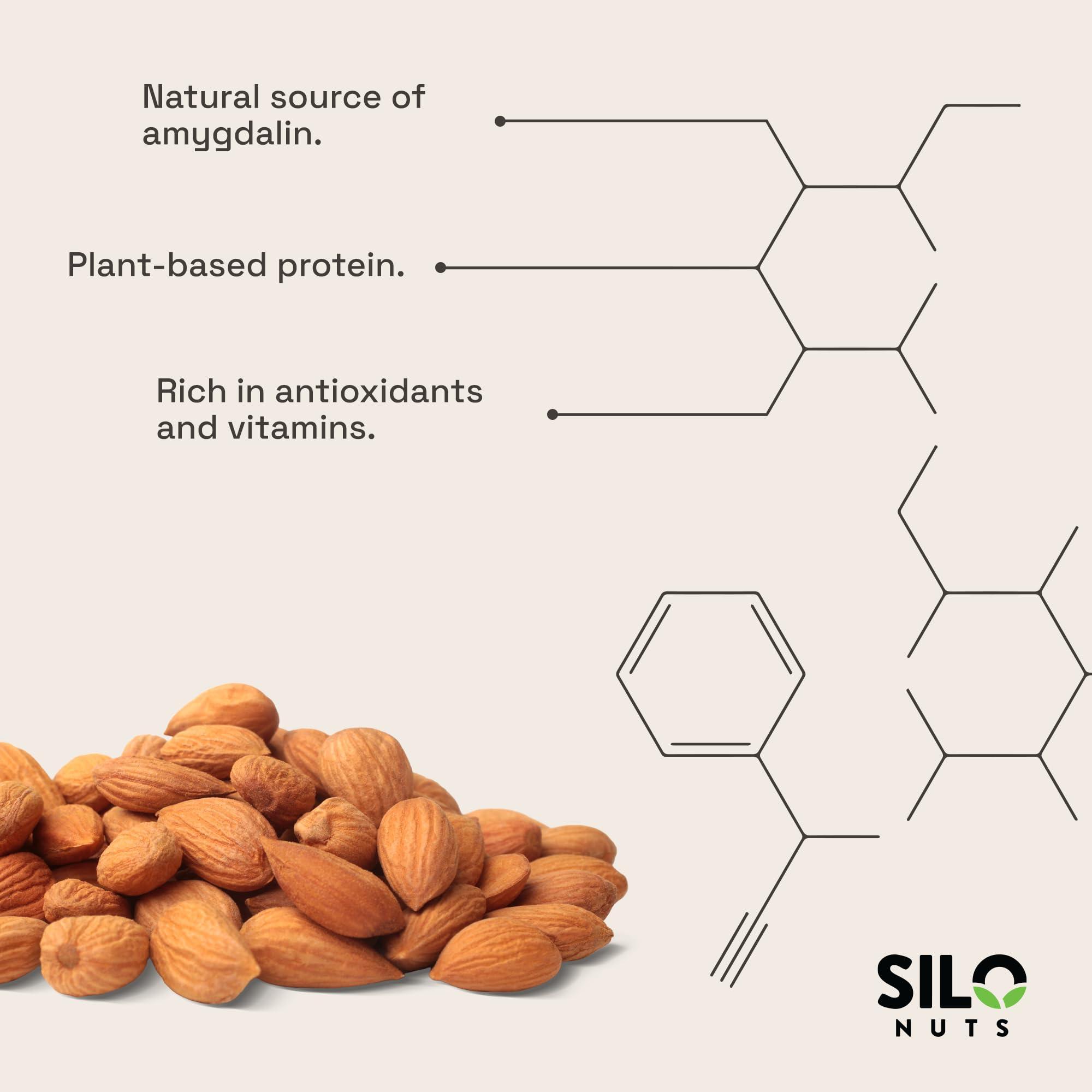 SILO NUTS SILO Nuts Organic Bitter Apricot Kernels - USDA Certified Organic Bitter Apricot Seeds - Natural & Non-GMO, Premium Quality Kernals, No Sulfur or Additives - 16 oz