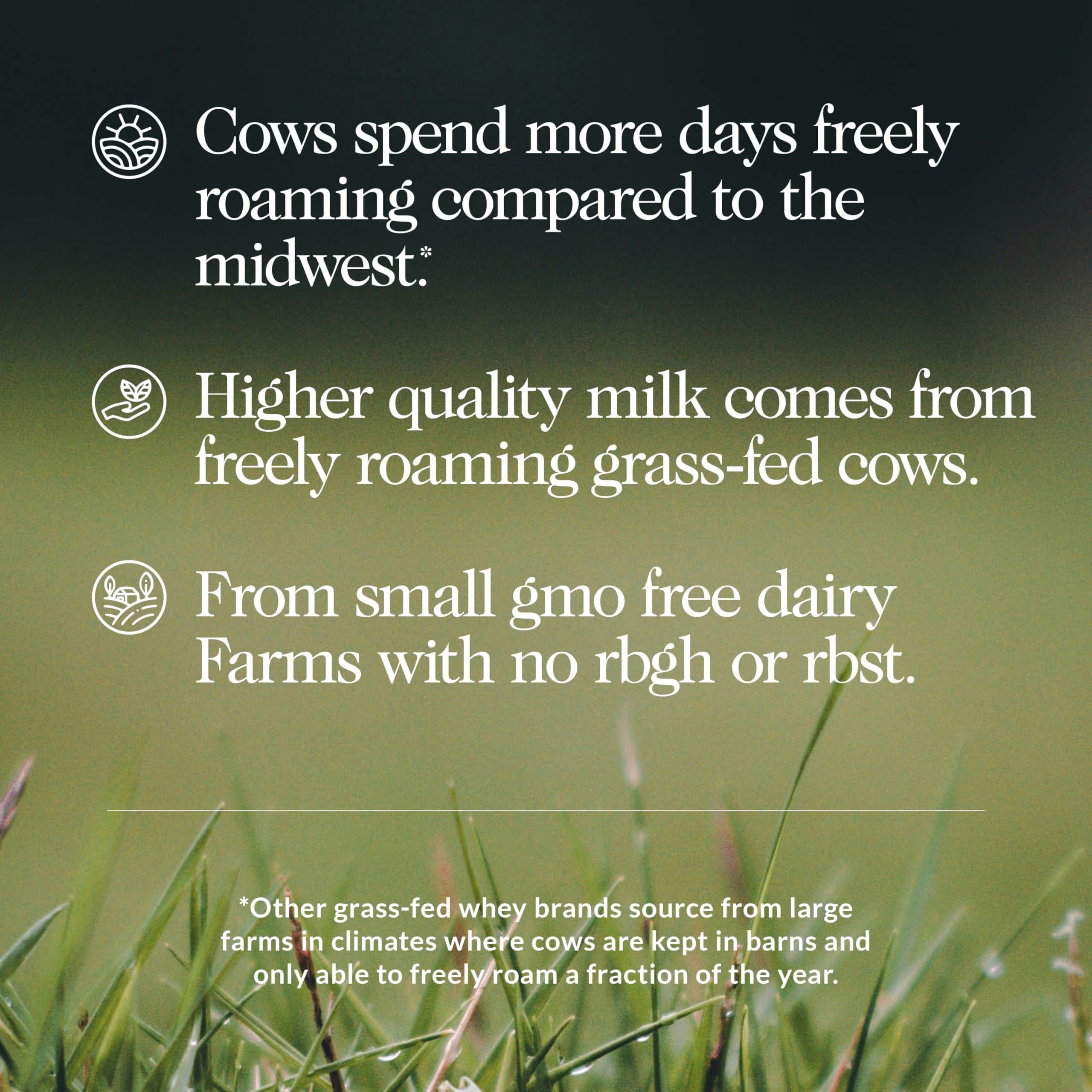 NAKED nutrition NAKED Chocolate Mass Gainer - All Natural Weight Gainer Protein Powder - 8lb Bulk, GMO Free, Gluten Free & Soy Free. No Artificial Ingredients - 1,360 Calories