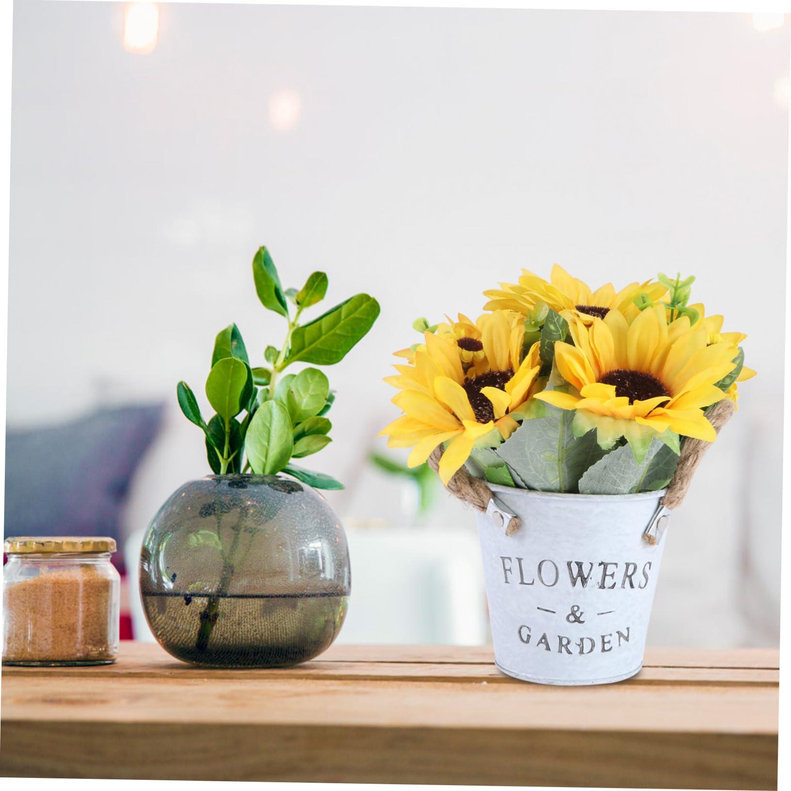 Florastor Florastor Family Probiotic Bundle - 100 ct. Probiotic for Digestive & Immune Health for Men & Women + 20 ct. Kids Daily Probiotic, Unflavored Powder Sticks - Boost Good Bacteria & Flush Out The Bad