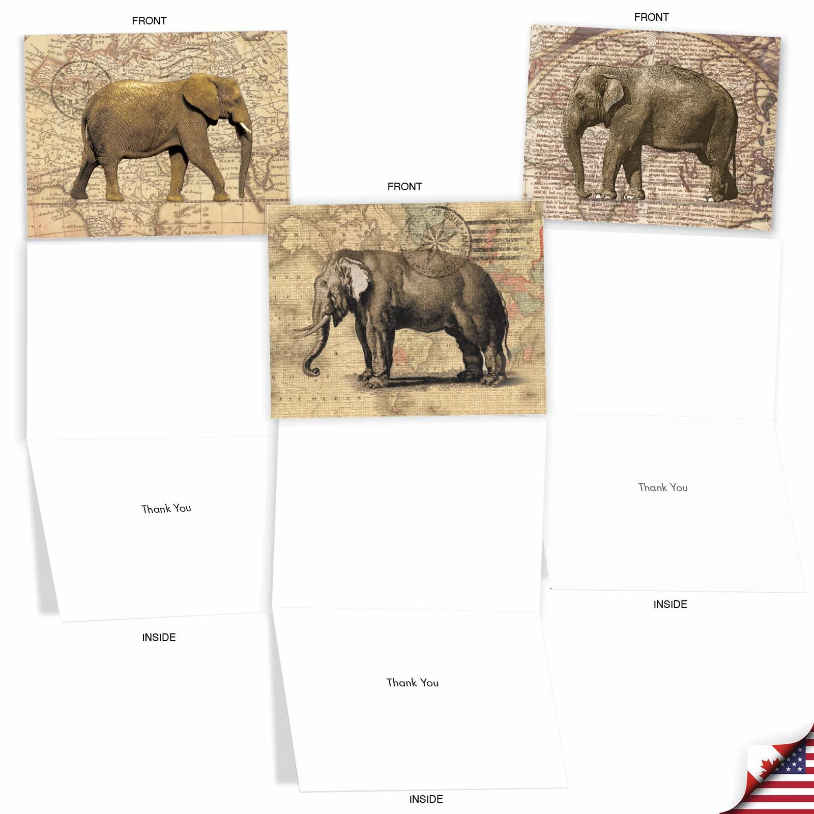 Homebrewers Outpost Gauge - Low Pressure (0-30 psi) (Pack of 10)