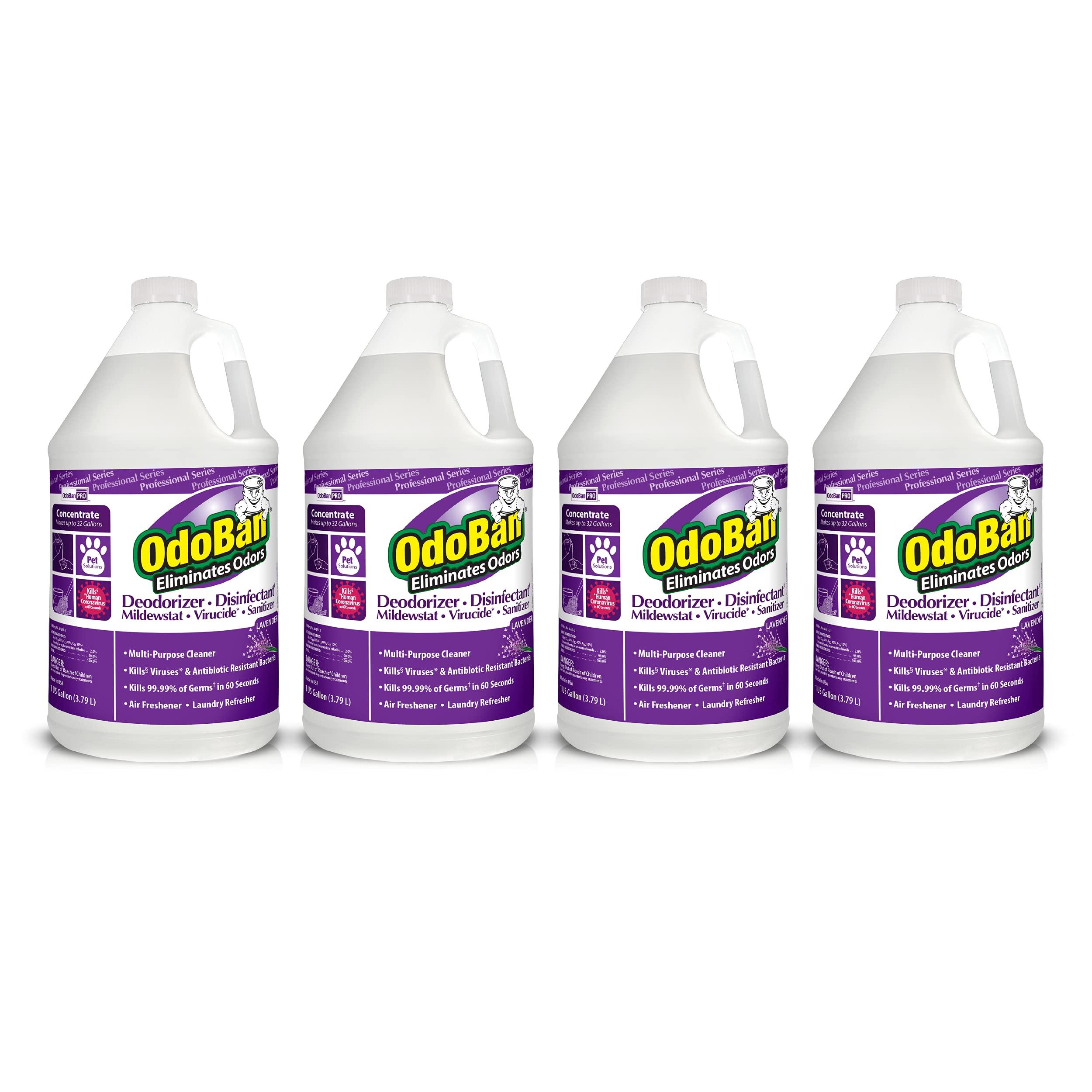OdoBan OdoBan Disinfectant Concentrate and Odor Eliminator, 2 Gallons, Fresh Linen Scent & Professional Disinfectant and Odor Eliminator Concentrate, 4-Pack, 1 Gallon Each, Lavender Scent