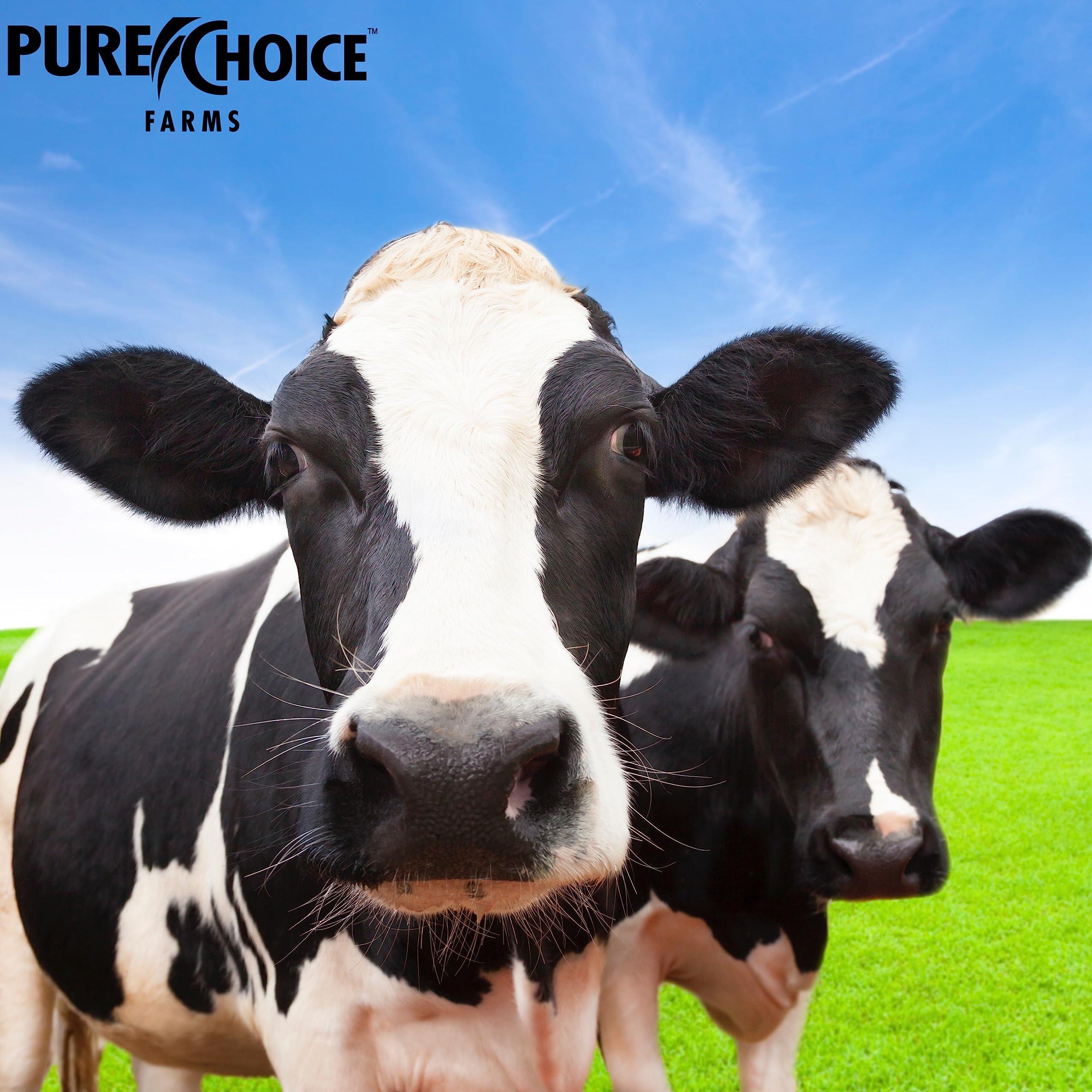 Pure Choice Whey Pure Choice Peanut Butter Whey Isolate Protein Powder, 27g Protein & Low Fat, Best Cold Filtered & Undenatured Whey, No Fillers Or Artificial Sweeteners (Peanut Better, 2 lb)