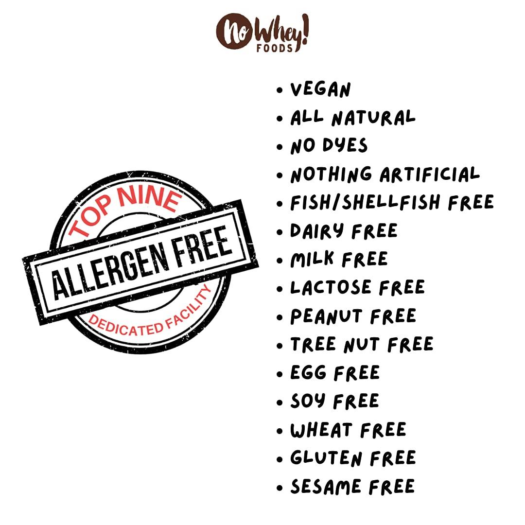 No Whey! Foods Vegan, Gluten Free, Nut Free | Chocolate Candy Nougat and Caramel Bars (3 Pack) | Dairy Free, Soy Free, Sesame Free | Allergy Friendly Snacks | No Whey Foods