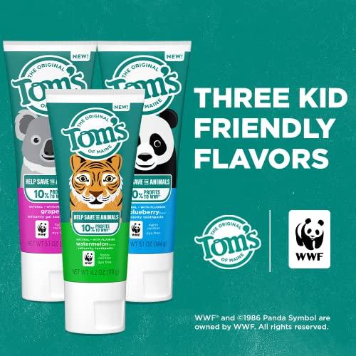 Tom's of Maine Tom\'s of Maine Natural Children\'s Fluoride Toothpaste, Watermelon, 5.1 oz