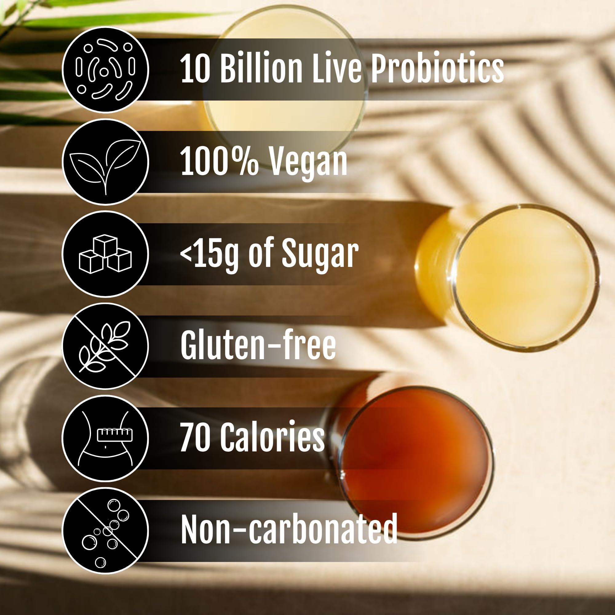 Cabana Cultures Cabana Cultures - Probiotic Coconut Water Kefir, Gut Health & Immunity Support, Hydration & Electrolytes, Vegan, Low Sugar (Variety Pack, 12-Pack)