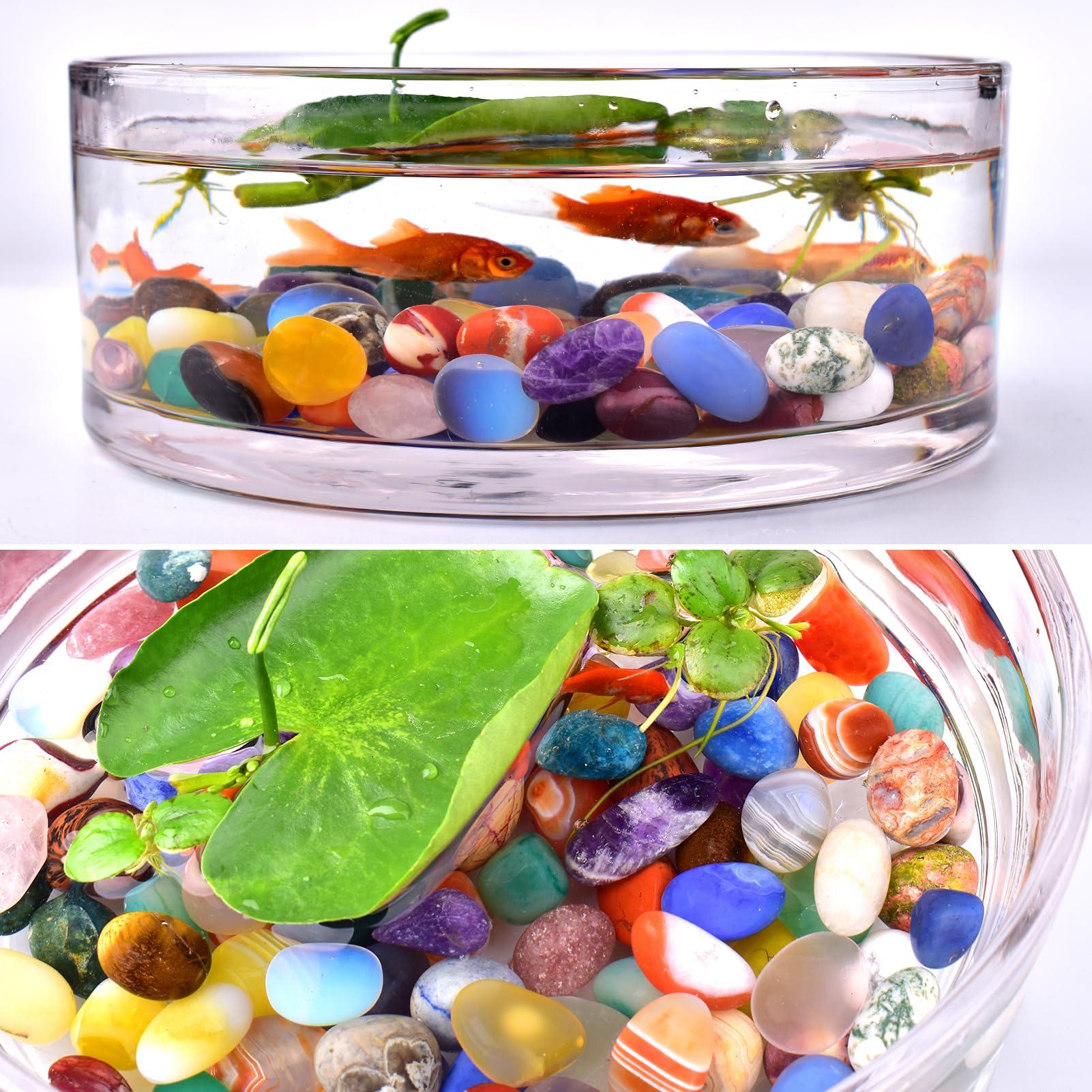 SigMntun SigMntun Polished Healing Crystals Stone Set, 24 Types of 0.6" Handpicked Tumbled Stones for Healing, Reiki, Meditation, Crafting, Home Decor, Ethically Sourced, Mixed-96