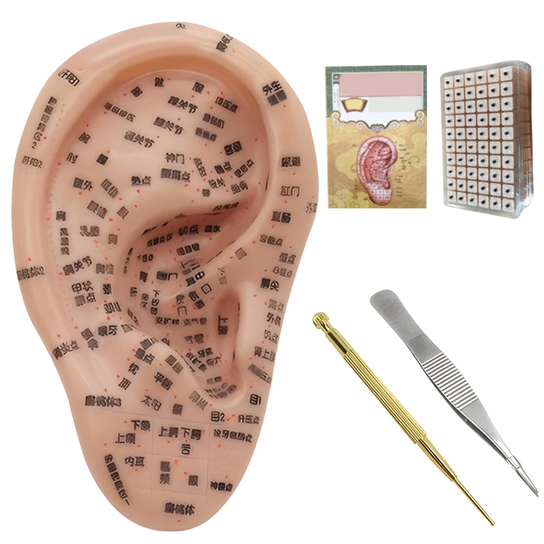 Peosaard Ear Seeds Acupuncture Kit, Soft Ear Seeding Kit Including 7.5 inch. Ear Model, Ear Patch, Tweezer, Probe Pen, Ear Book, Picture, Acupuncture Ear Seeds, Acupuncture Doll