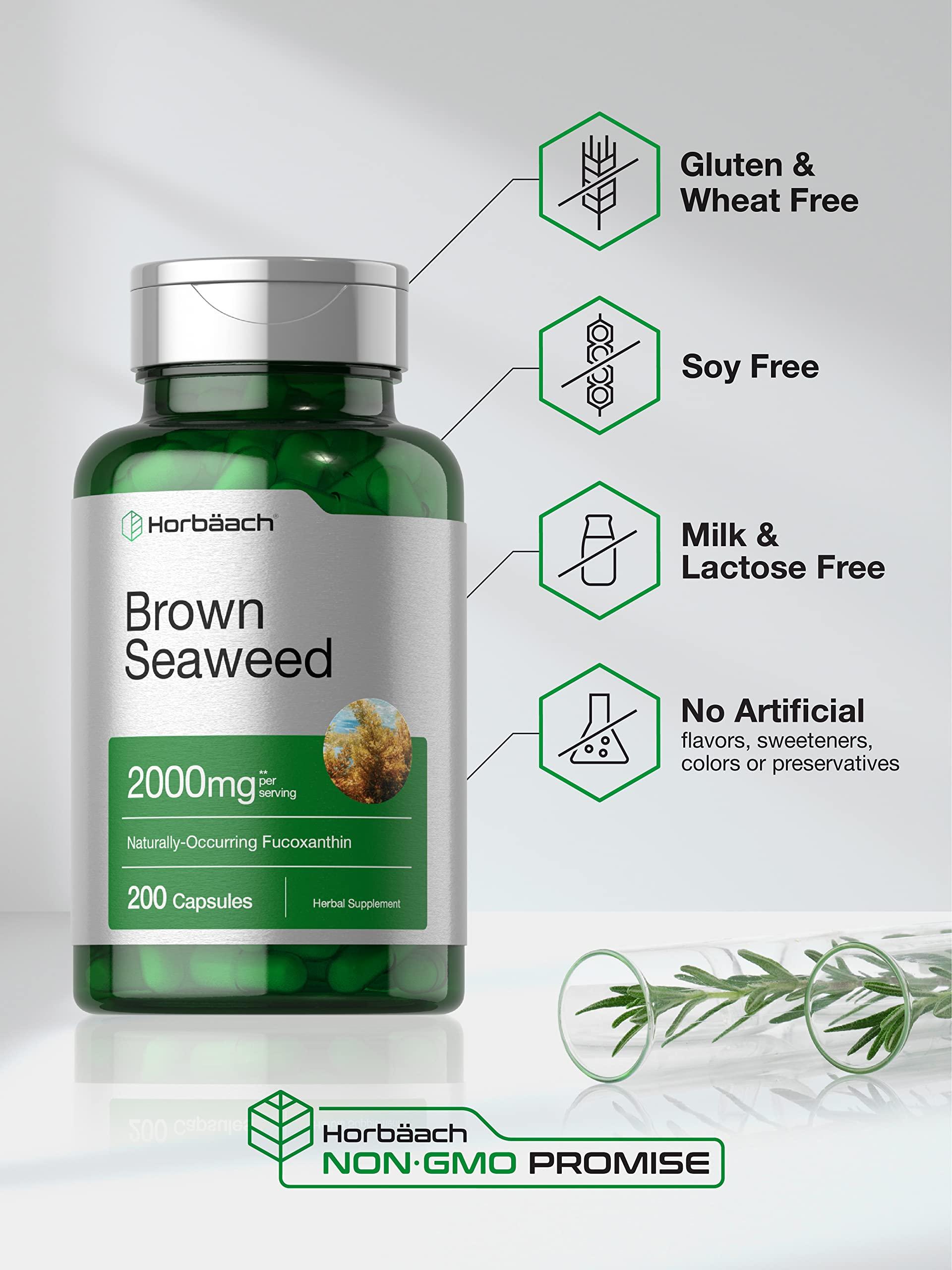 Horbach Horbach Brown Seaweed Extract Capsules 2000mg | 200 Pills | Fucoxanthin Supplement | Non-GMO, Gluten Free