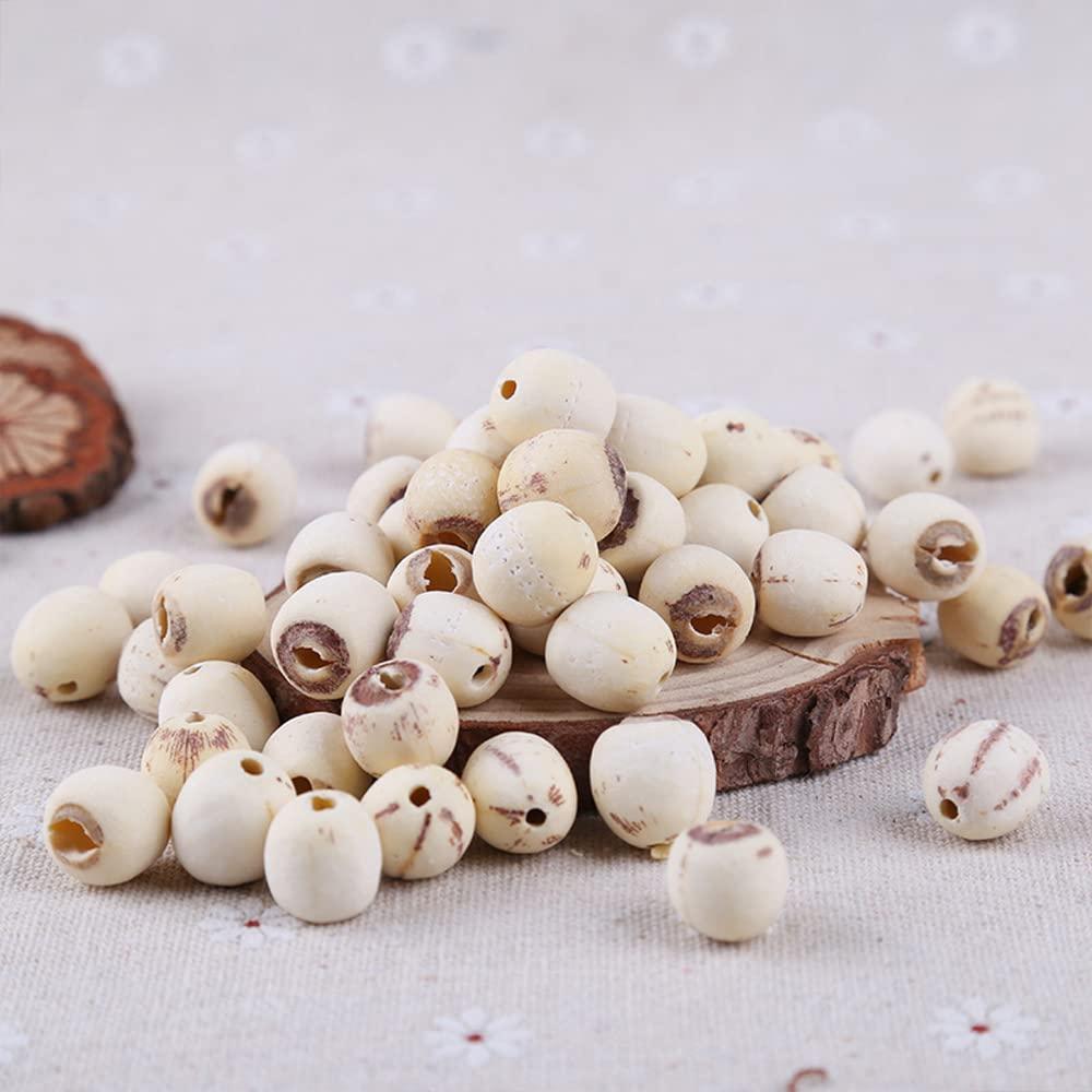 Generic Lotus Seed;Lotus Seed pod;Lotus nut;Lotus Seeds Organic;Lotus Seeds for Cooking;Semen Nelumbinis,Lotus Semen for Health Care Food,Lian Zi for Beauty,Lotus Nut (500 g(1.10 Pound))