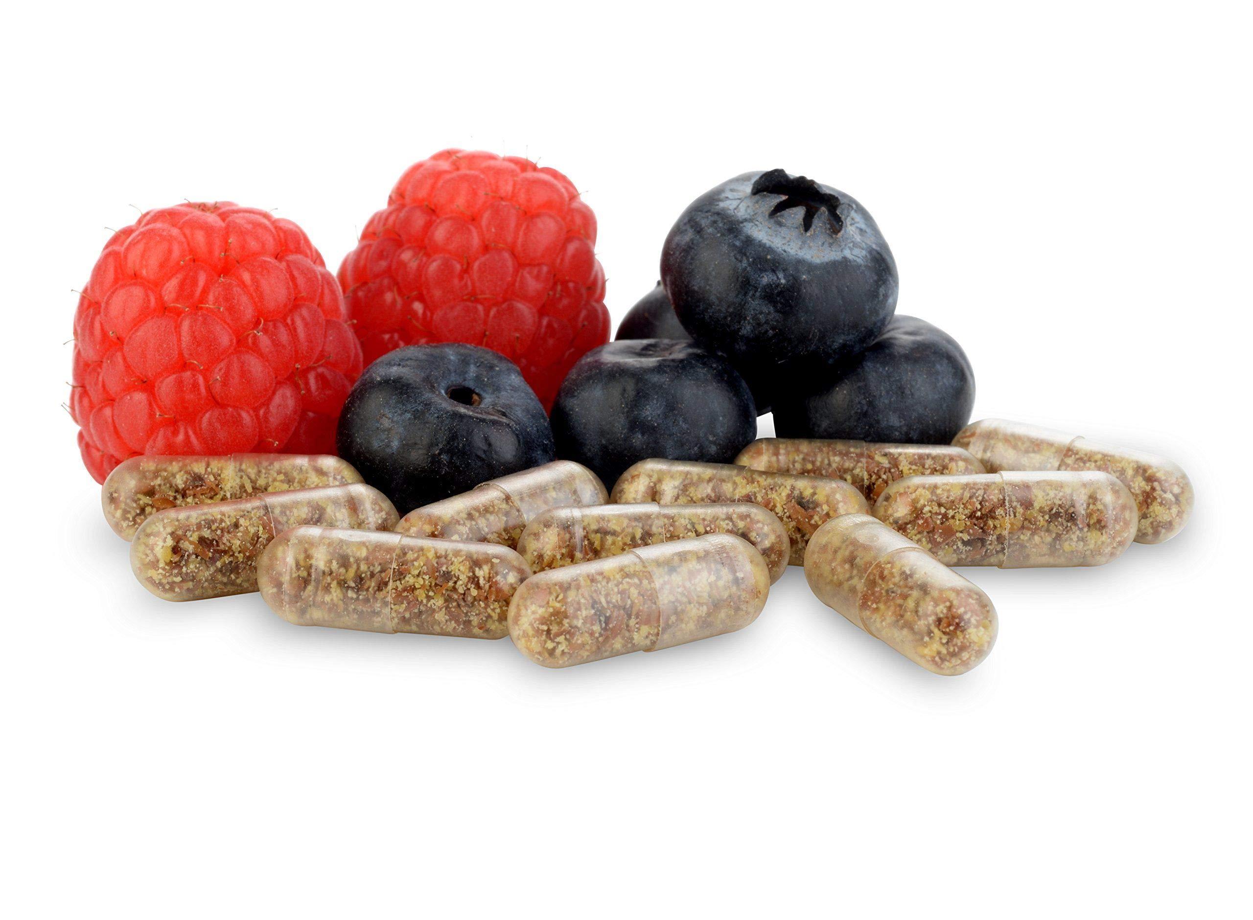 General Biotics Equilibrium Probiotic Supplement with Prebiotic  Daily Time Release  30 Easy to Swallow Capsules  Highest Strain Count in The World  115-Strains