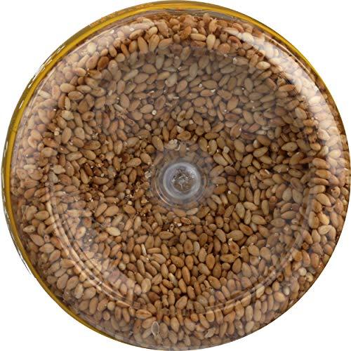 JFC JFC INTERNATIONAL SESAME SEED WHT RSTD