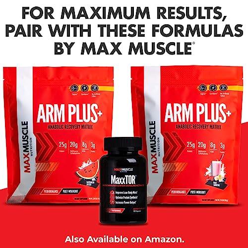Max Muscle Max Muscle Maxpro Elite Premium Multi-Sourced Protein | Bcaas, Micellar Casein, Cold Filtered Whey Isolate and Concentrate | Promotes Muscle Growth, Strength and Recovery (2lb)