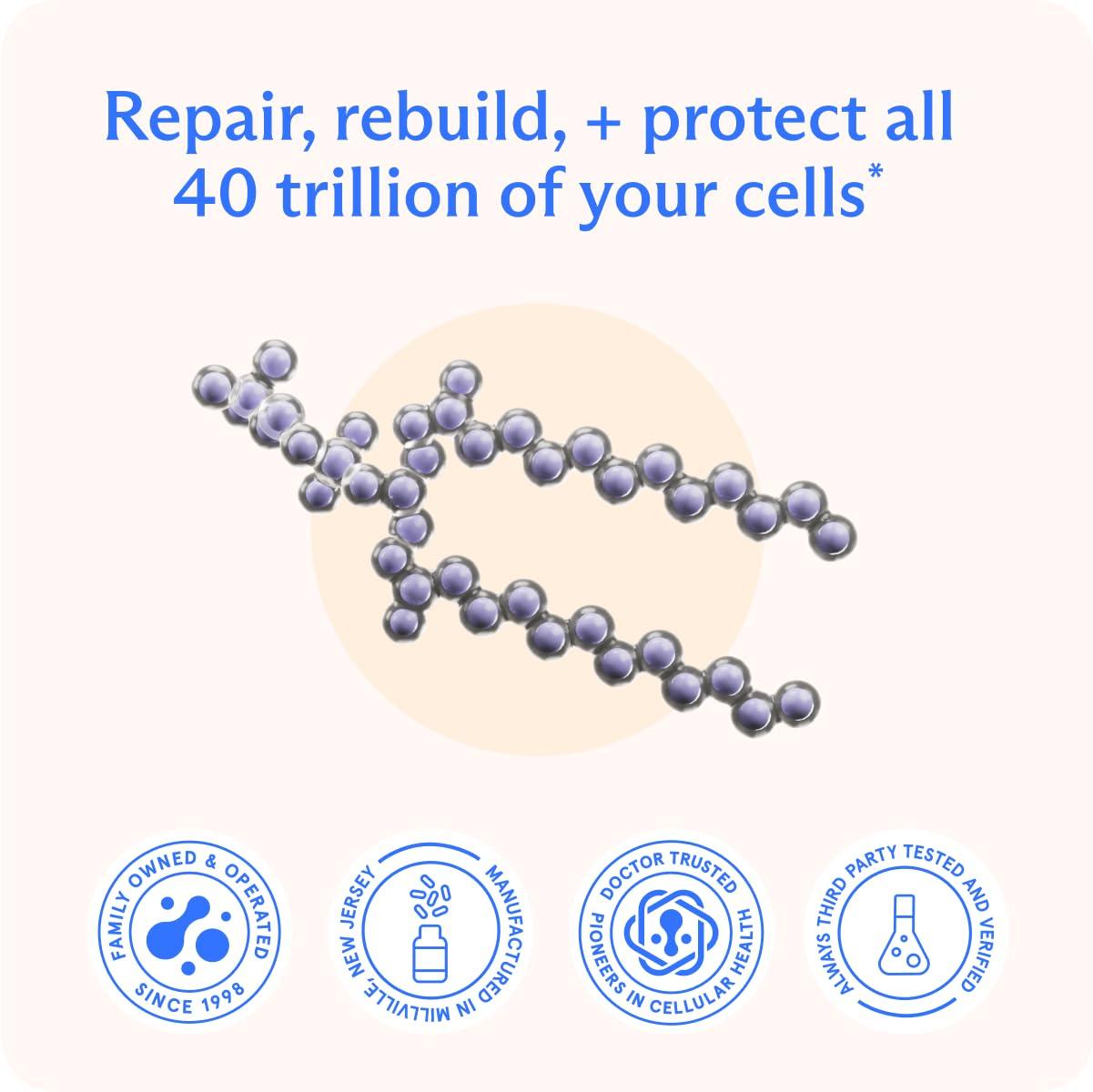 BodyBio BodyBio Phosphatidylcholine 60 Softgels - Nootropic Booster for Brain Health - Mental Clarity for Focus and Memory - Neuroprotection for Healthy Aging