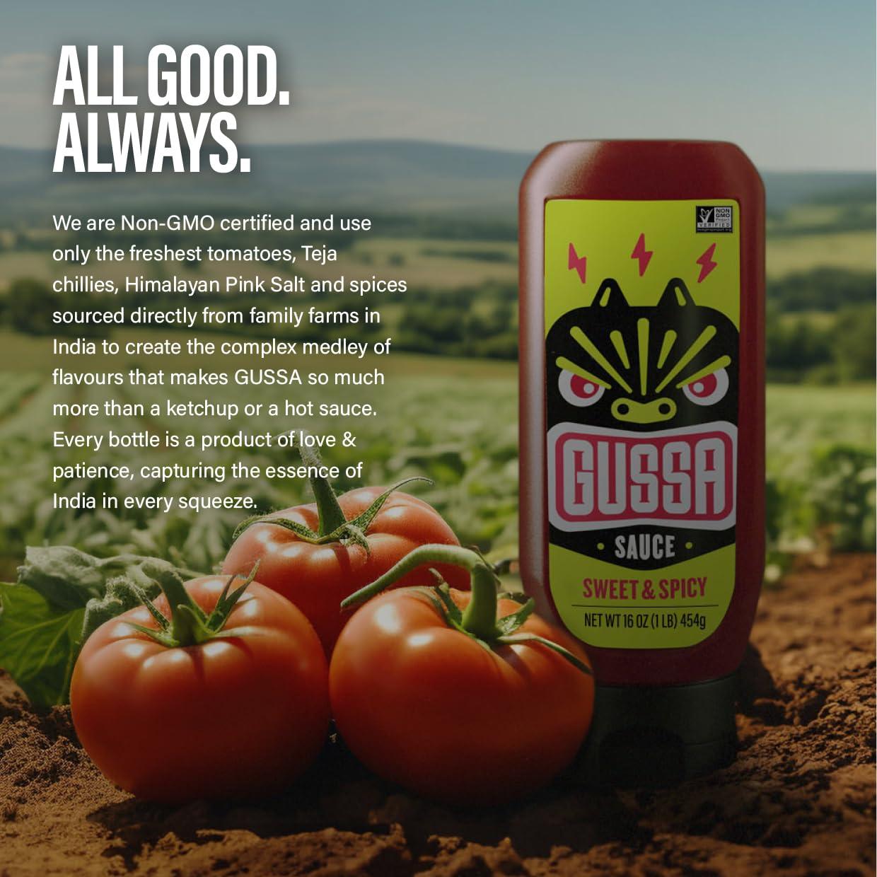 Gussa GUSSA Sauce 16 oz - Sriracha Style Sweet & Spicy Sauce - Perfect for Burgers, Wraps, Chicken Wings, Tacos, Salads, Noodles & More. Vegan, Non-GMO, No Preservatives, Gluten-Free, BPA-Free.