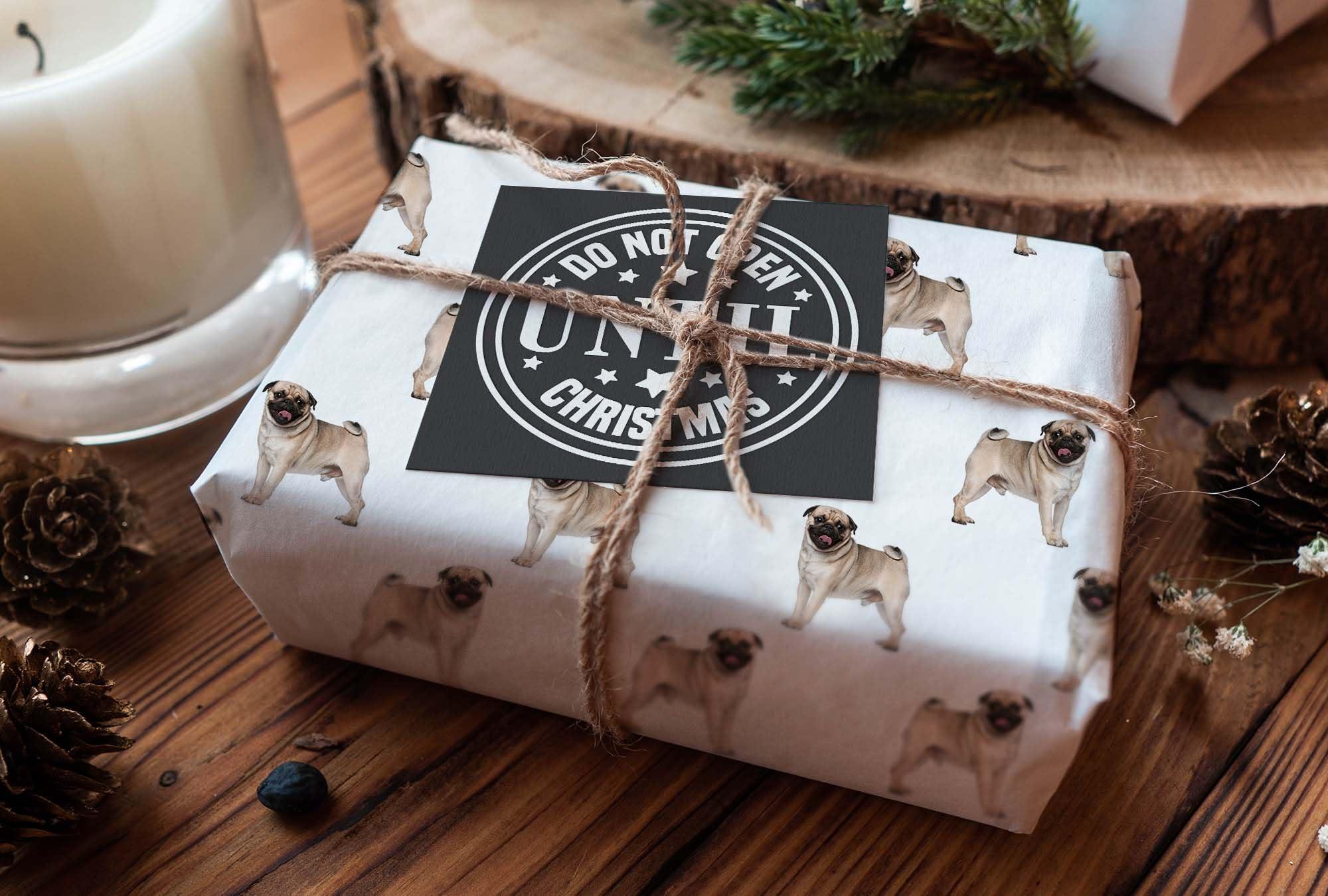 Foot Defender Foot Defender Protective Boot for Foot Wounds Designed to Offload Pressure and Help Diabetic Foot Ulcers Heal Faster (Medium)