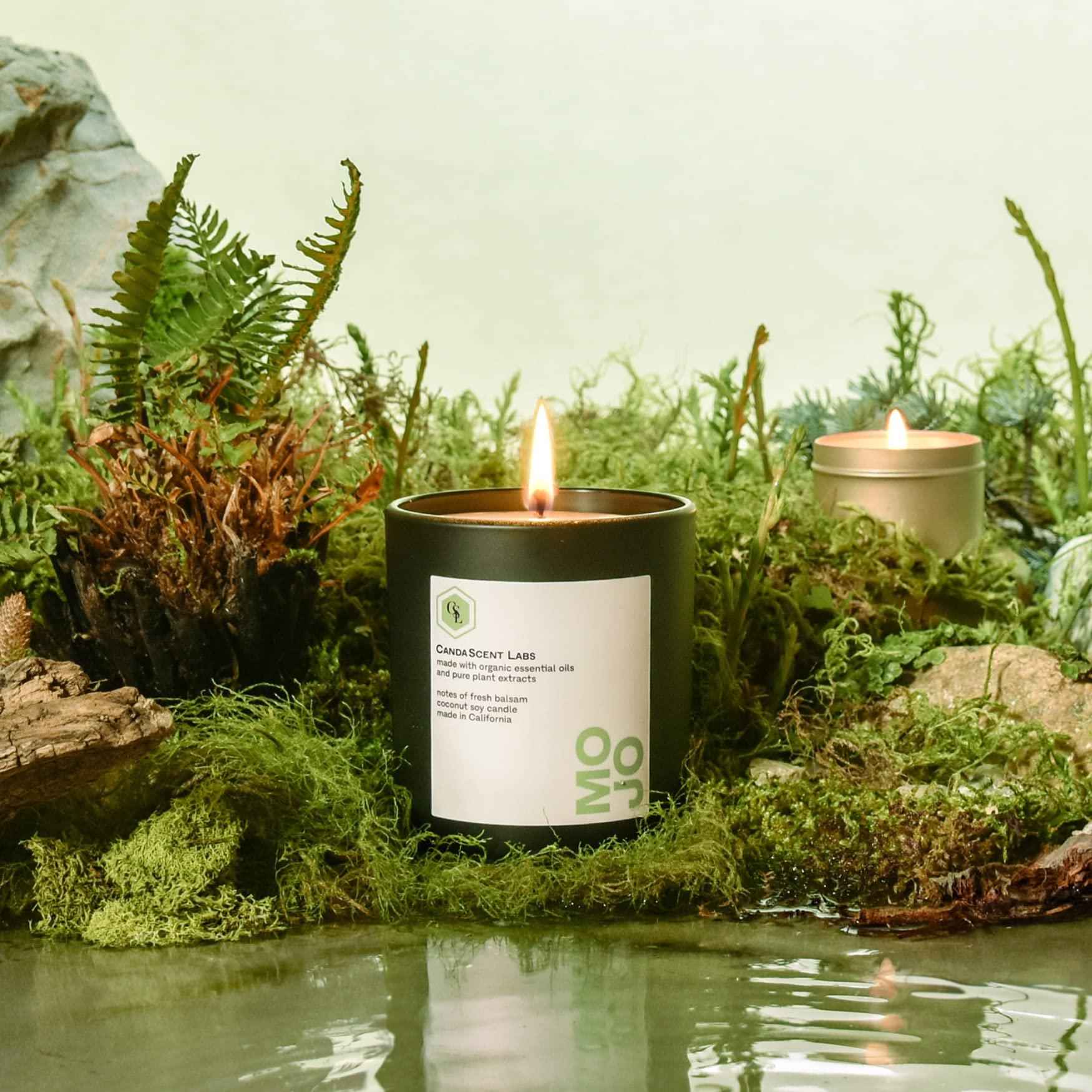 Rice-A-Roni Rice-A-Roni CREAMY FOUR CHEESE Flavor 6.4oz (8 pack)