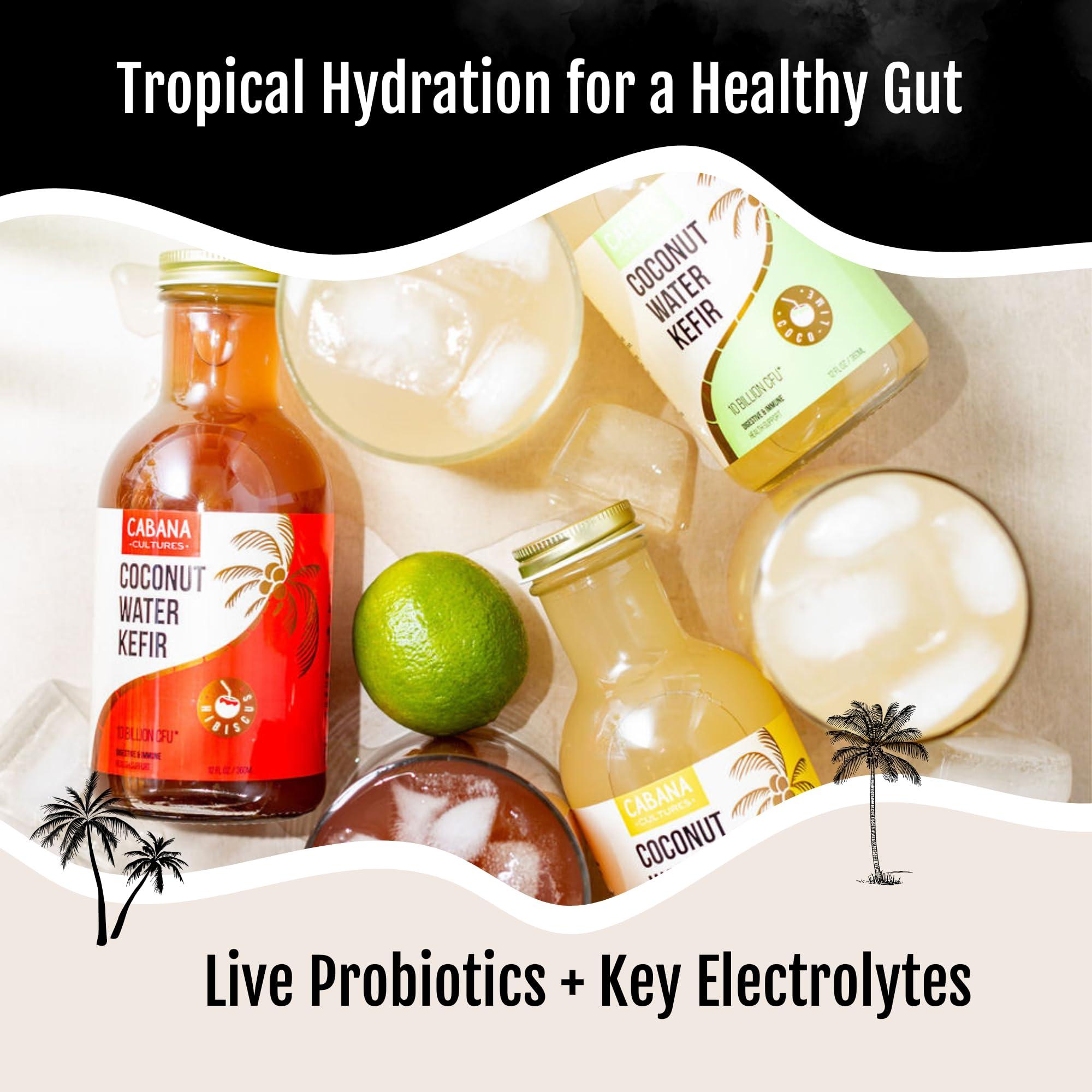 Cabana Cultures Cabana Cultures - Probiotic Coconut Water Kefir, Gut Health & Immunity Support, Hydration & Electrolytes, Vegan, Low Sugar (Variety Pack, 12-Pack)