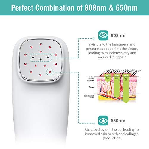 YOUICHIC Handheld Cold Laser Therapy Device with LED Display, Low Level Red Light Therapy for Dog Human Pain Relief Joint and Muscle, Body Back Shoulder Knee Pain, 4 Power & 4 Timer