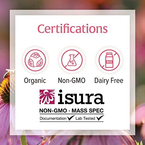 Natural Factors Natural Factors, Anti-V Liquid Formula, Echinacea Supplement for Immune and Wellness Support, Organic, Non-GMO, 3.4 oz (100 servings)