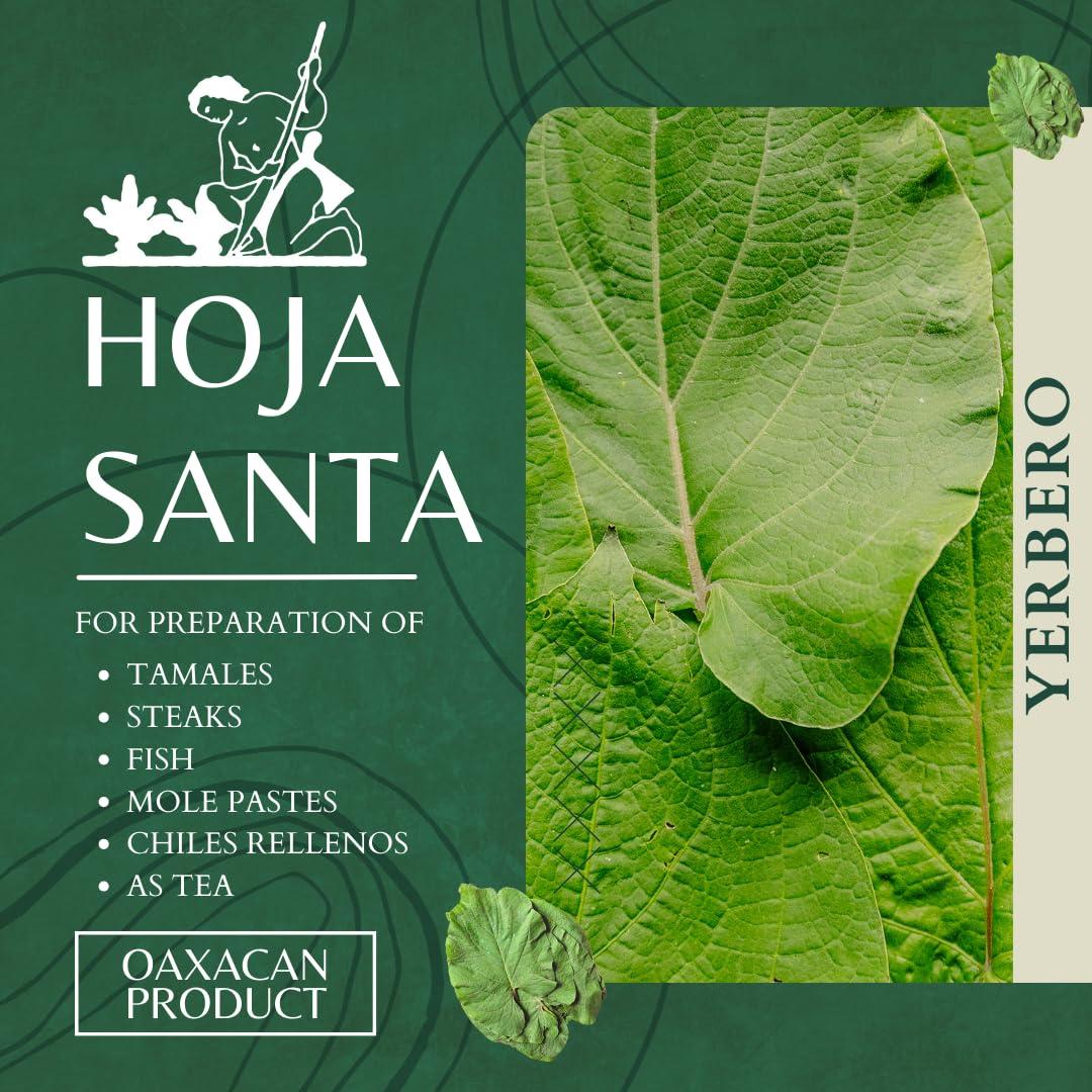 YERBERO Yerbero - Whole Premium Dried Hierba Santa Leaves 1.05 oz (30g) (25+ Leaves Per Bag) | Hoja De Hierba Santa Entera |100% Natural | Mexican Pepper Leaf Acuyo From Mexico | For use in Mexican Dishes, Tamales, Pozole, Carne Asada, Moles.