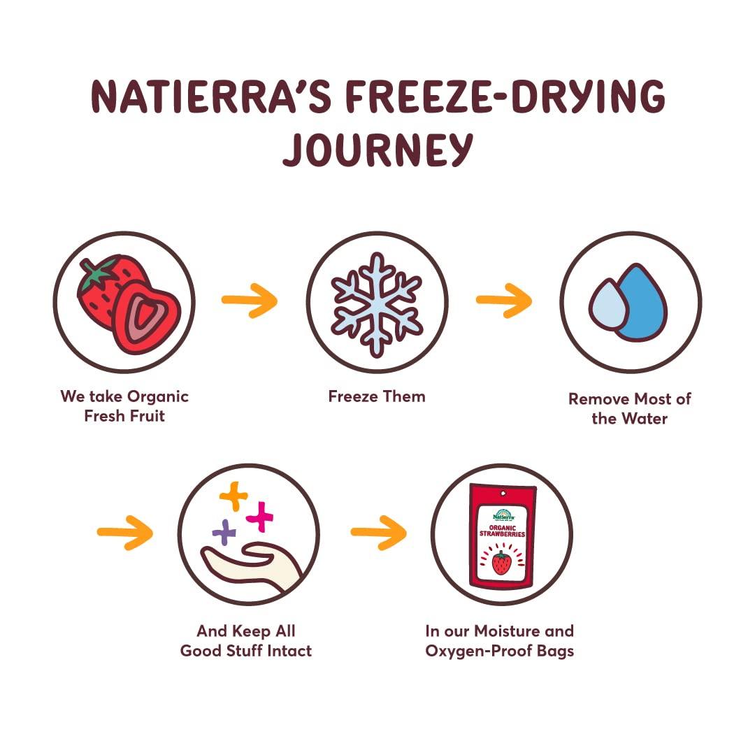 Natierra NATIERRA Organic Freeze-Dried Blueberry, Banana & Strawberry | USDA Organic, Non-GMO & Vegan | Variety Pack (of 6)