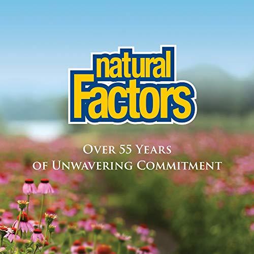 Natural Factors Natural Factors, Anti-V Liquid Formula, Echinacea Supplement for Immune and Wellness Support, Organic, Non-GMO, 3.4 oz (100 servings)