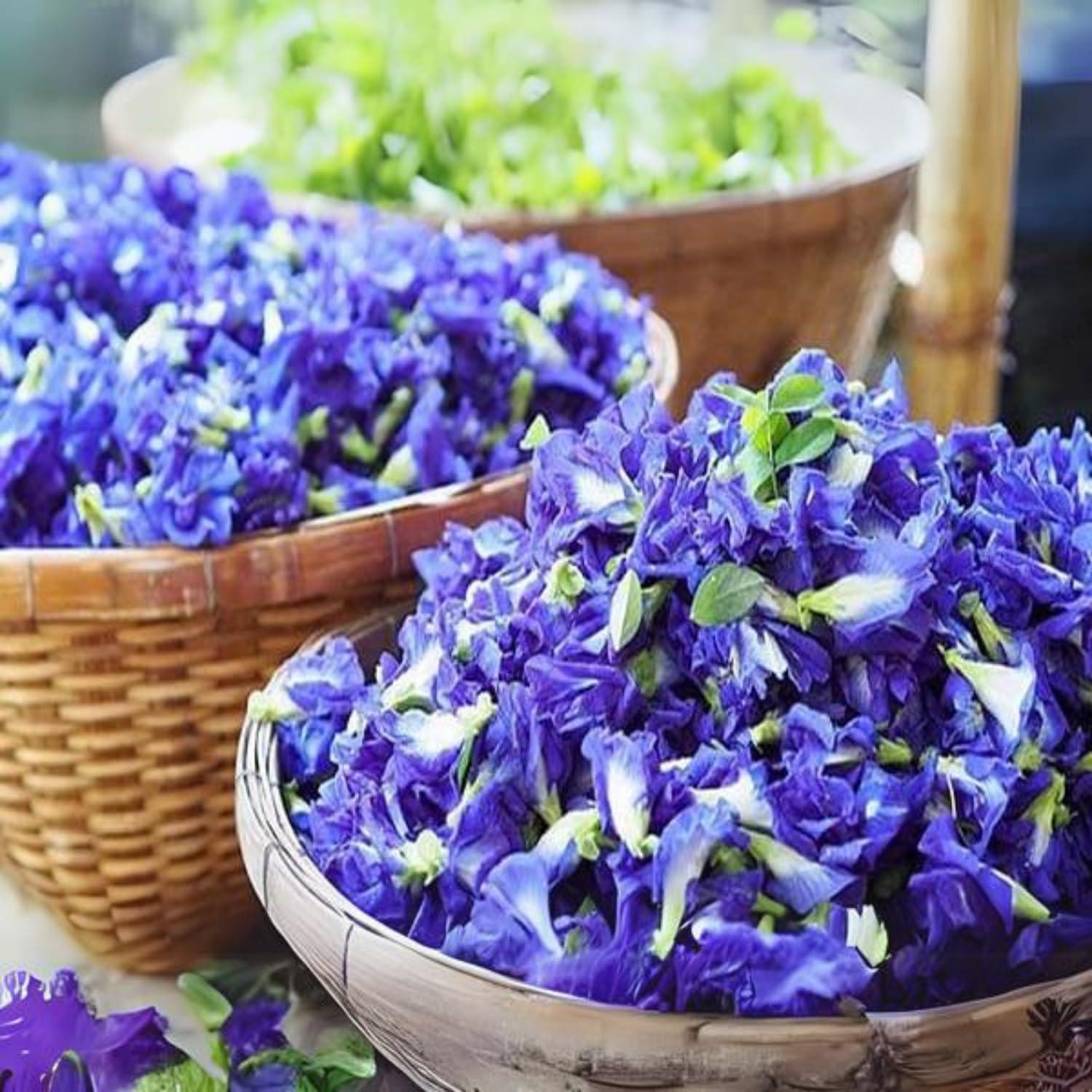 NHAT ANH FARM Nhat Anh Farm - Premium Dried Butterfly Pea Flower - 3,5oz(100g) Blue Butterfly Pea Flower - 100% Natural & Pure, Sugar/Caffeine/Gluten Free - For Making Tea