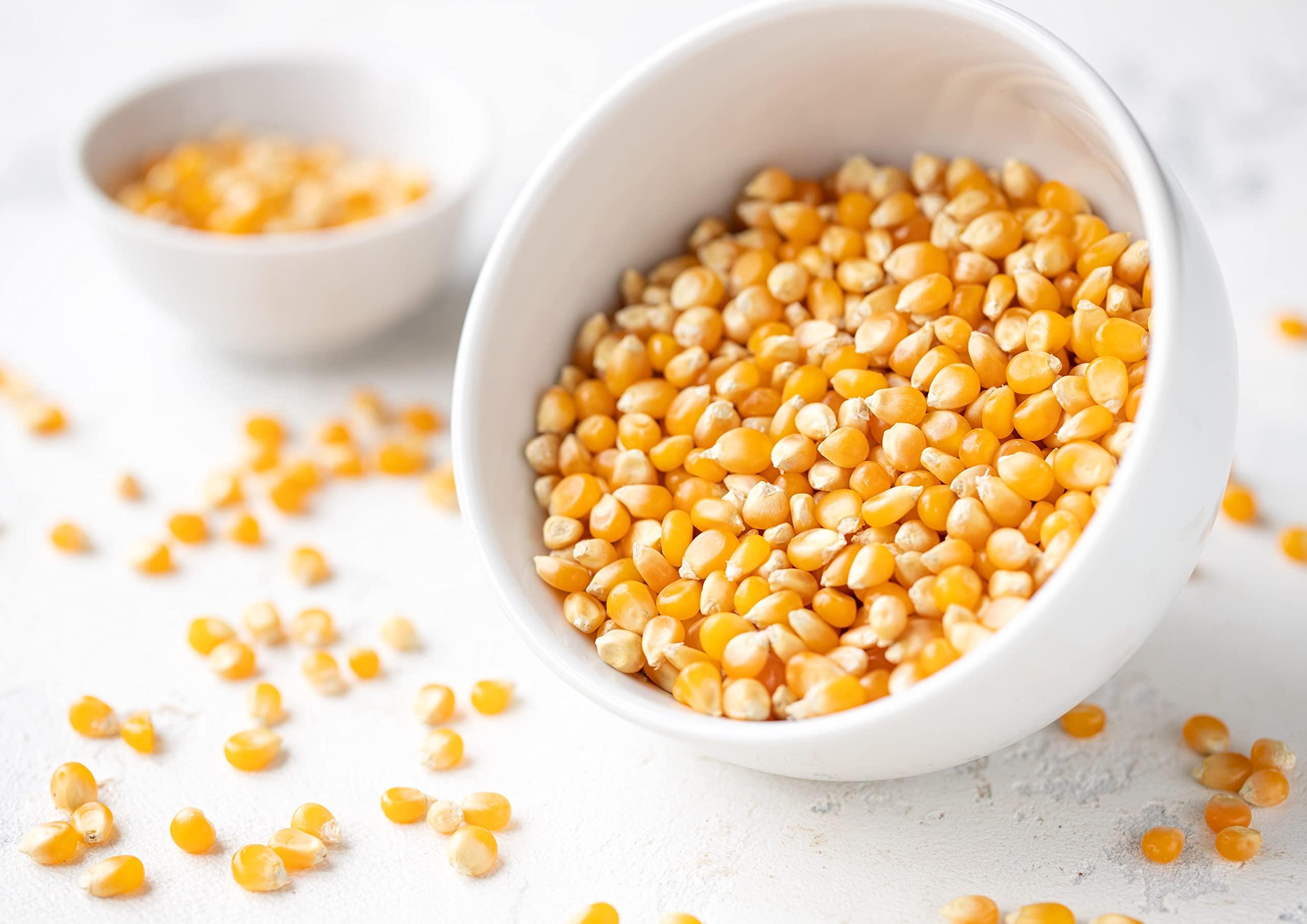 Food to Live Food to Live Organic Yellow Popcorn Non-GMO Corn Kernels, 100% Whole Grain, No Additives, No Preservatives, Vegan, Bulk. Theater-Quality Popcorn. Easy to Make. High Fiber, and Low-Calorie Snack