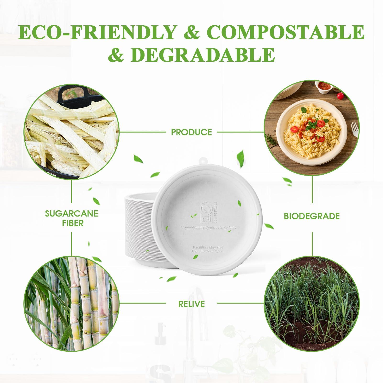 ECOLipak ECOLipak 125 Pack Paper Plates 9 inch 100% Compostable Plates Heavy-Duty Dinner Plates Disposable Bagasse Deep Dish Natural Biodegradable Eco-Friendly Sugarcane Plates(White)