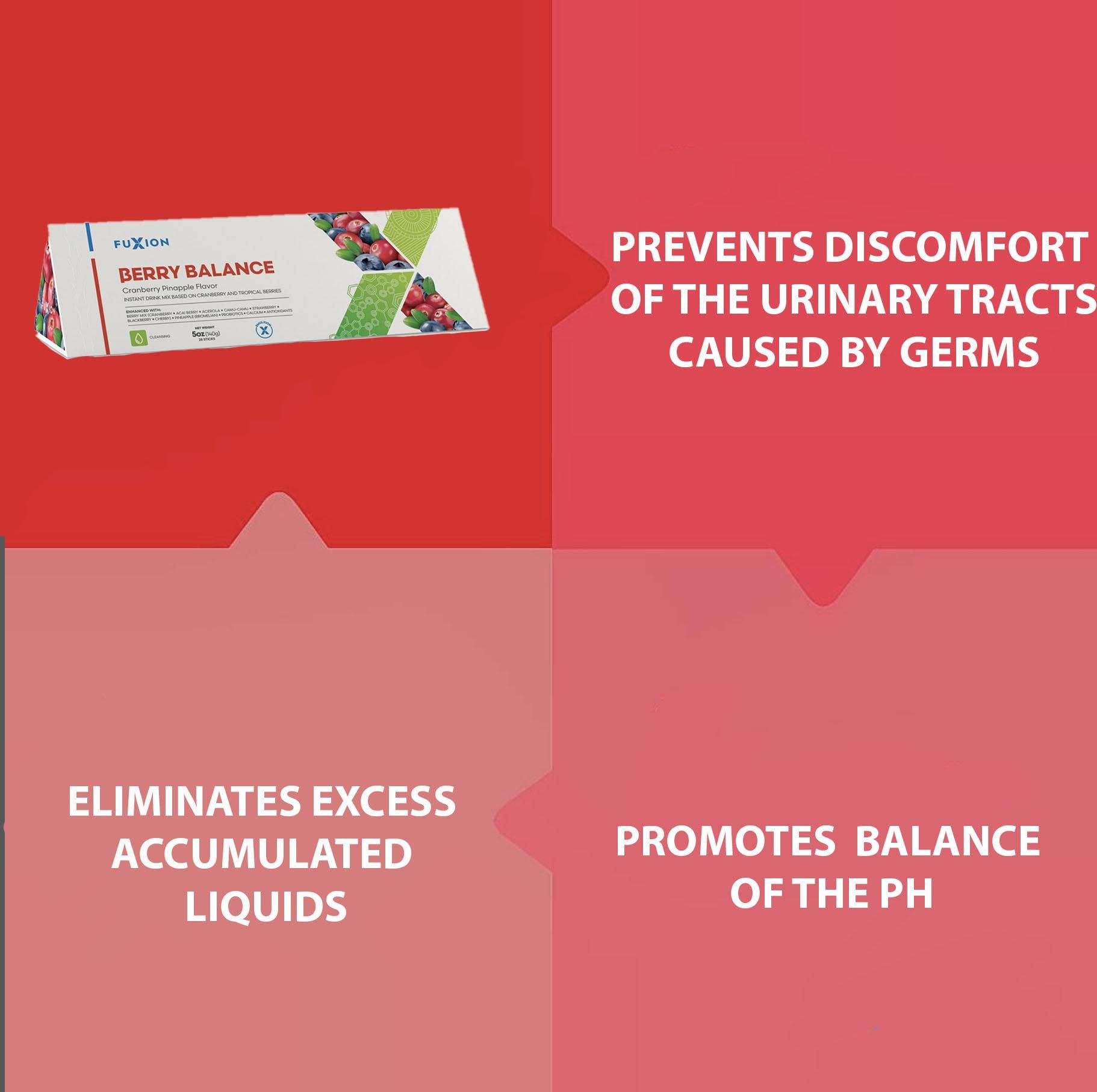 FUXION Fuxion Berry Balance by FUXION 28 Count (Pack of 1)