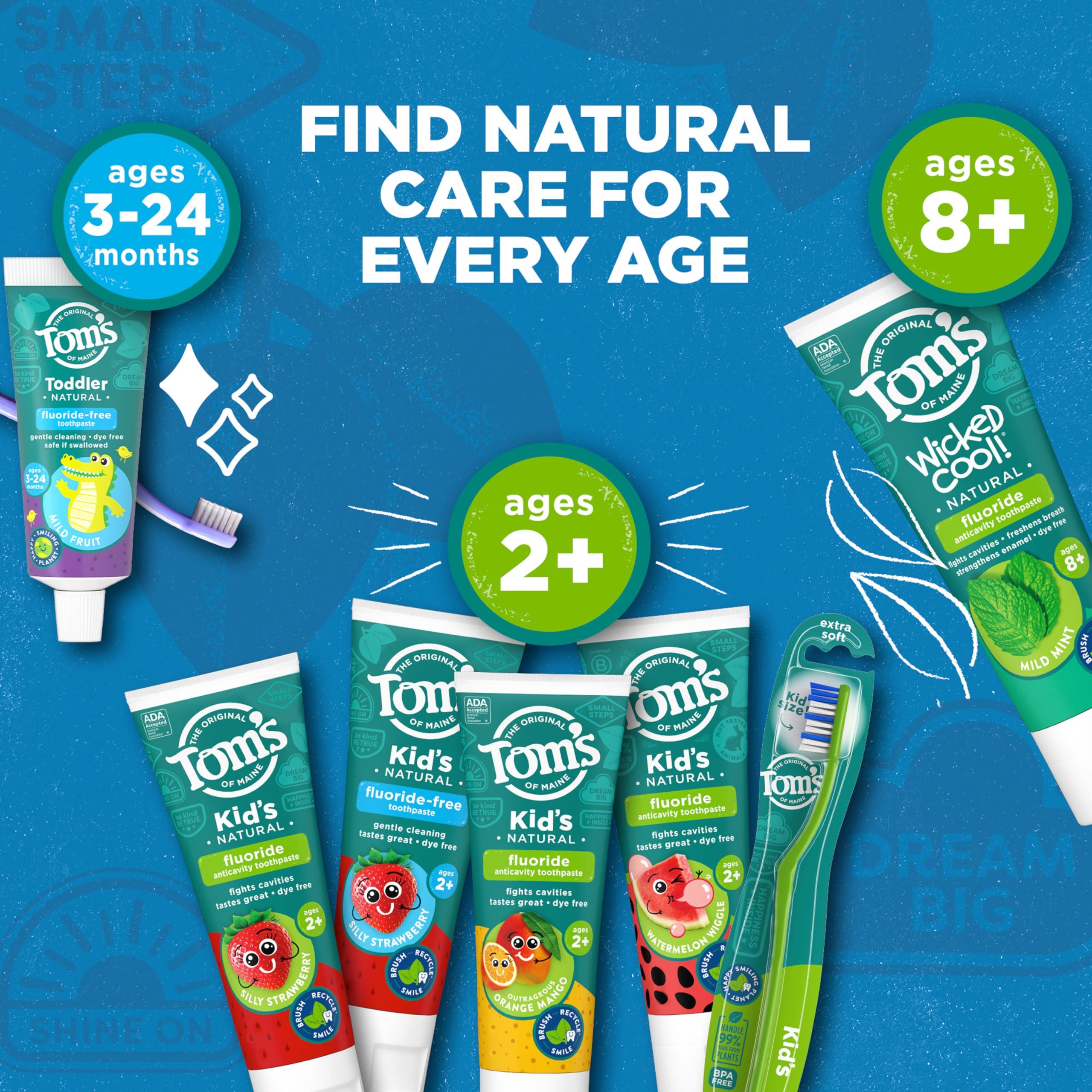 Tom's of Maine Tom's of Maine ADA Approved Fluoride Children's Toothpaste, Natural Toothpaste, Dye Free, No Artificial Preservatives, Silly Strawberry, 5.1 oz. 3-Pack (Packaging May Vary)