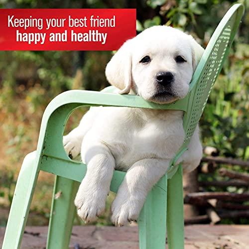 Sulfodene Sulfodene 3 Way Ointment