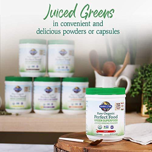 Garden of Life Garden of Life Raw Organic Perfect Food Green Superfood Juiced Greens Powder - Apple Flavor, 30 Servings - Vegan Gluten Free Whole Food Dietary Supplement, Greens Plus Probiotics & Enzymes
