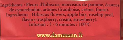 Dammann Freres Dammann Freres Sachets, Nuit Dete Summer Night Tea Bags, Premium Gourmet Hibiscus and Berry Herbal Tea, Individually Wrapped, 24 Count (Single Pack)