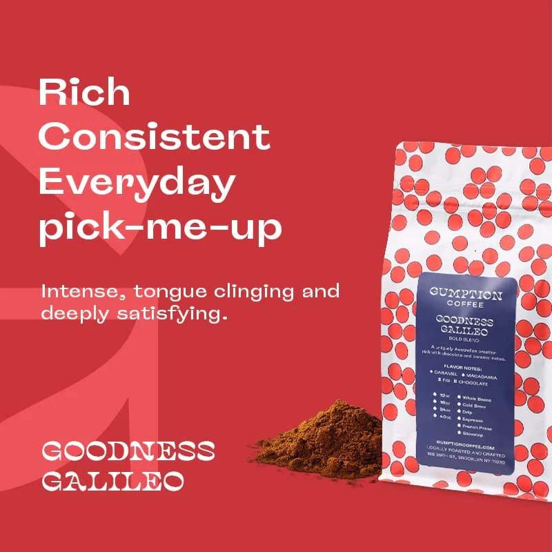 Gumption Coffee Gumption Coffee | Goodness Galileo - Bold Blend | Whole Bean Specialty Coffee | 12oz / 16oz (16 oz)